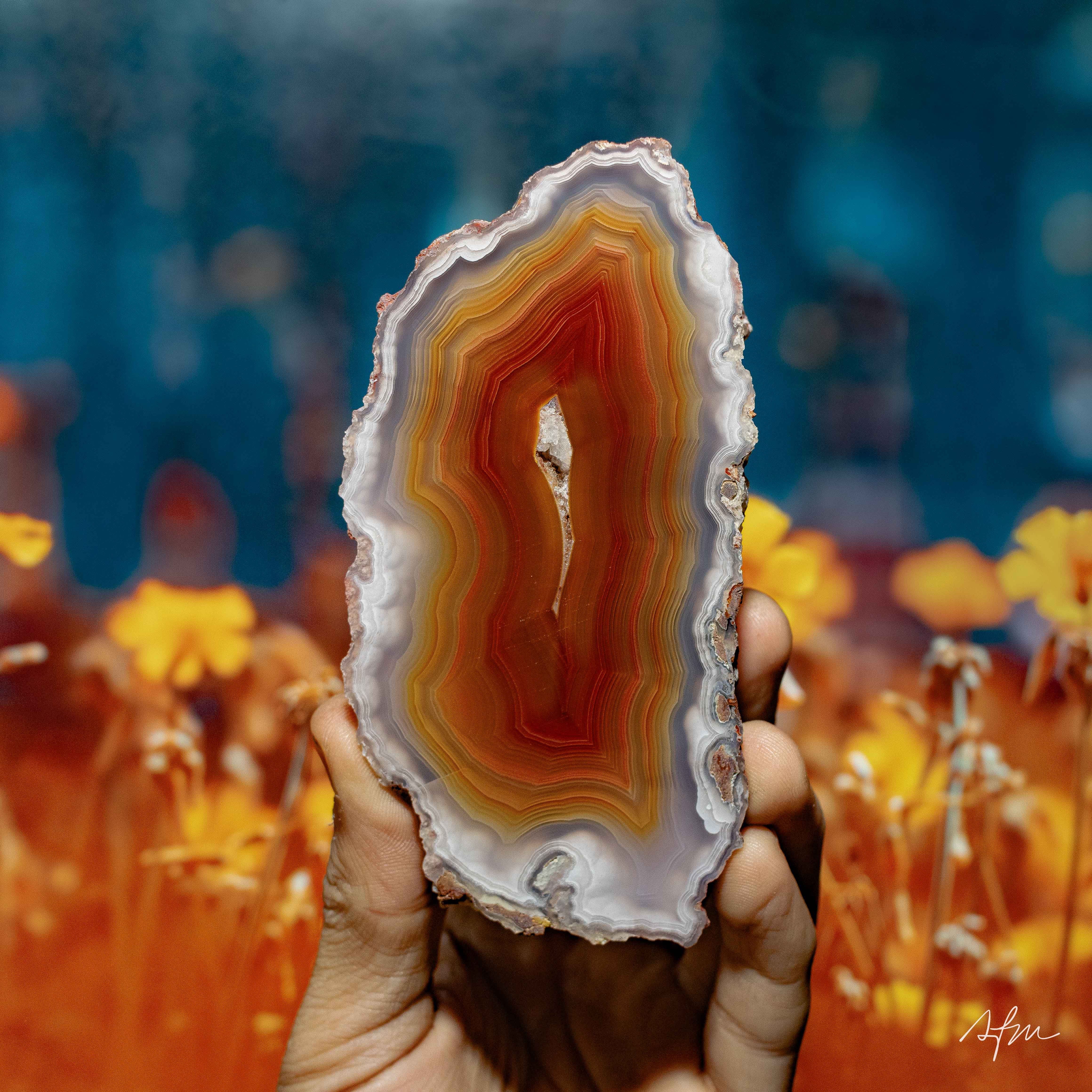 Veins of Fire - view 2