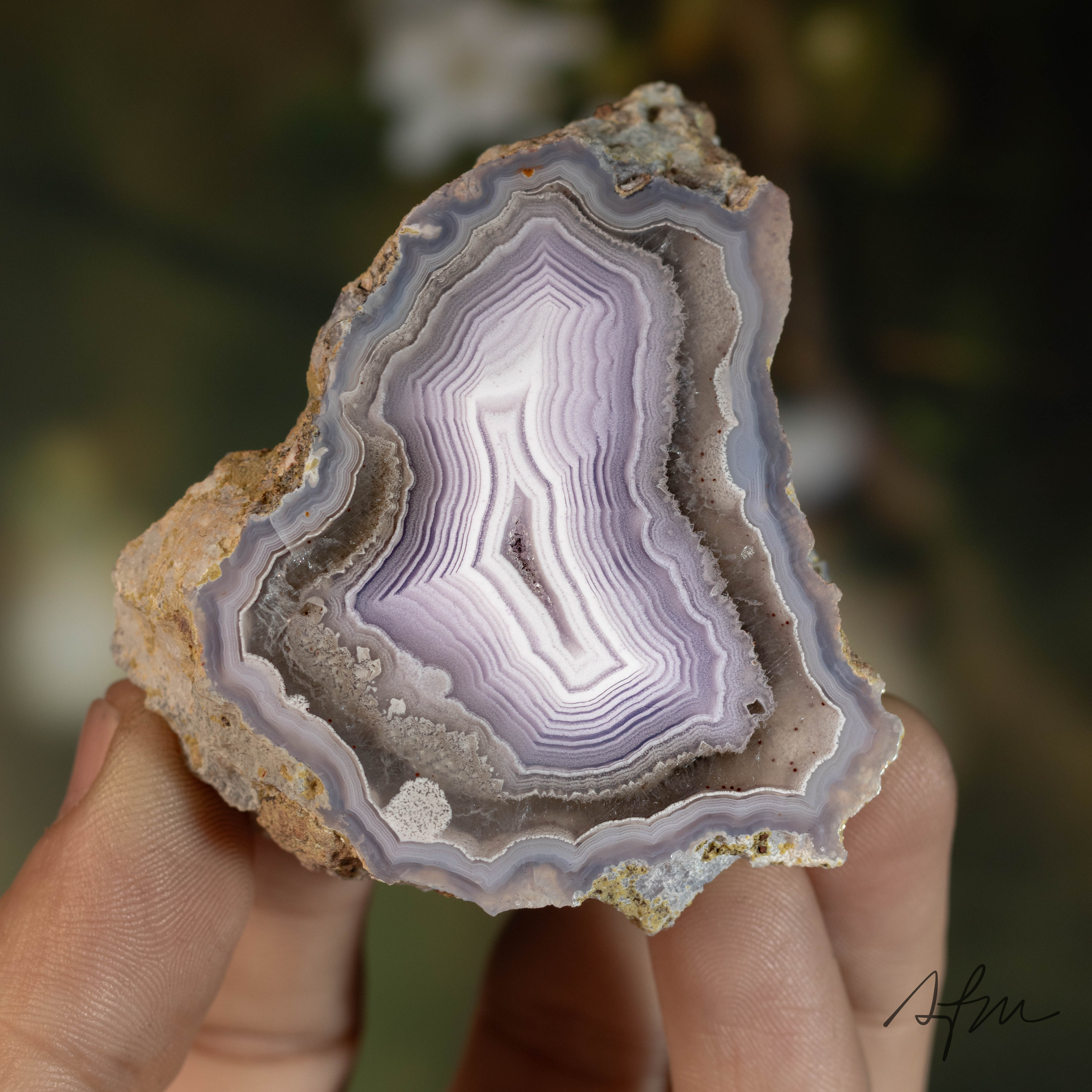 Lavender Mist - view 2