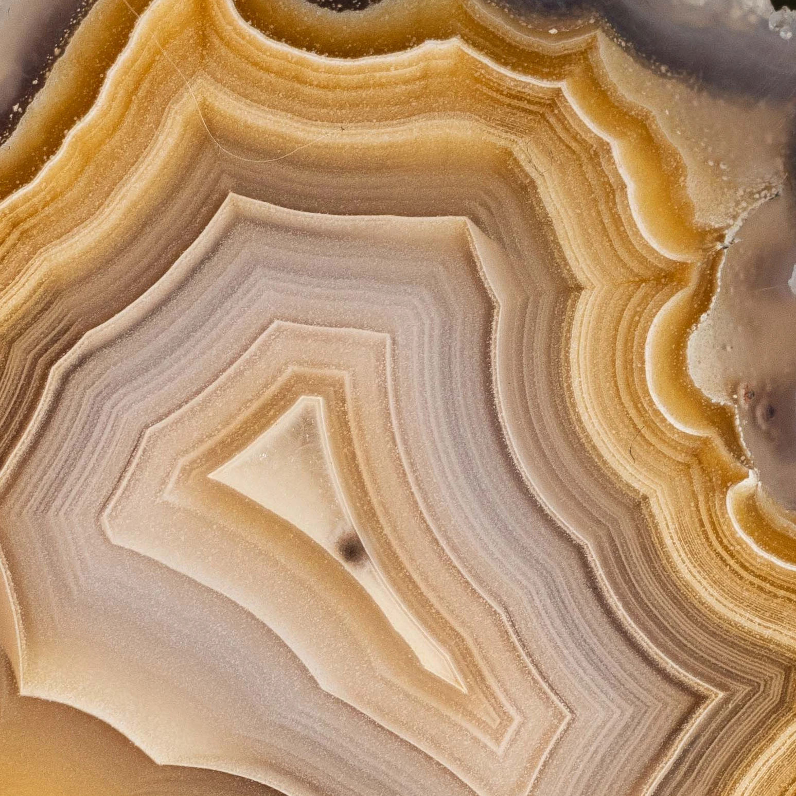Cinderlight - view 5