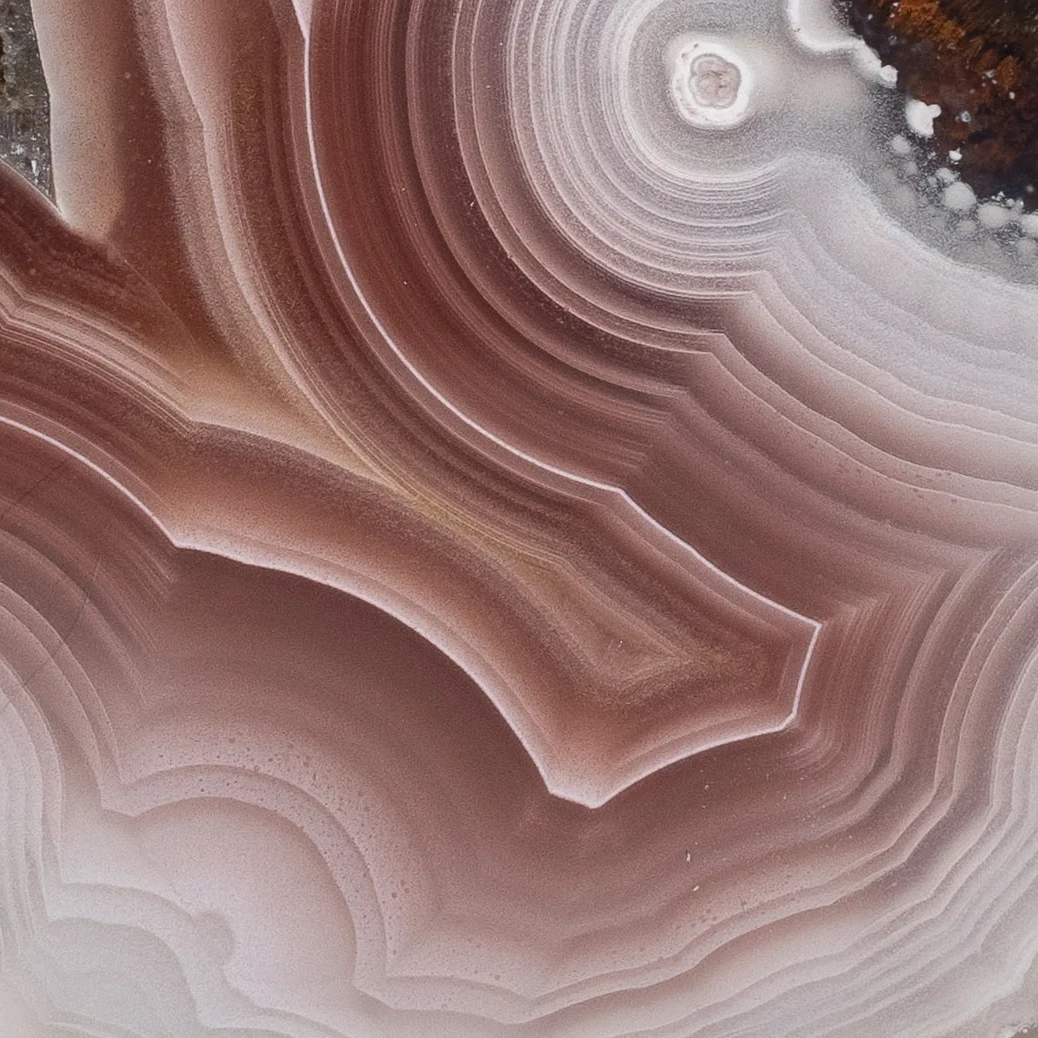 Blush Ember - view 5