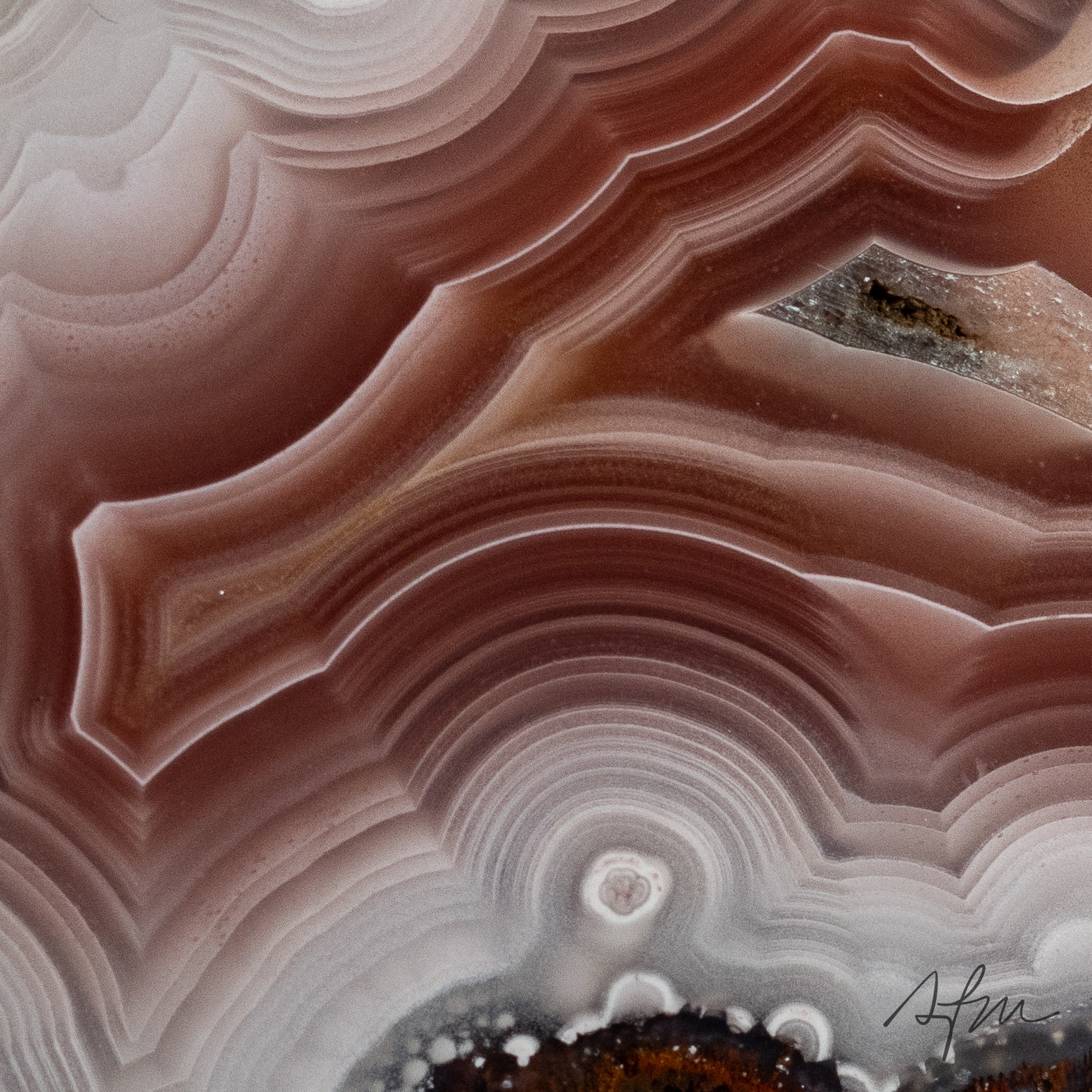 Blush Ember - view 3