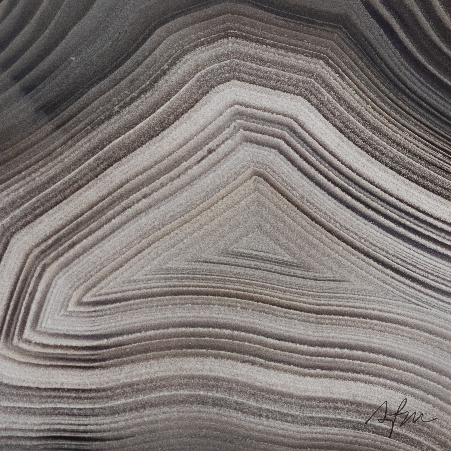 Silent Currents - view 3