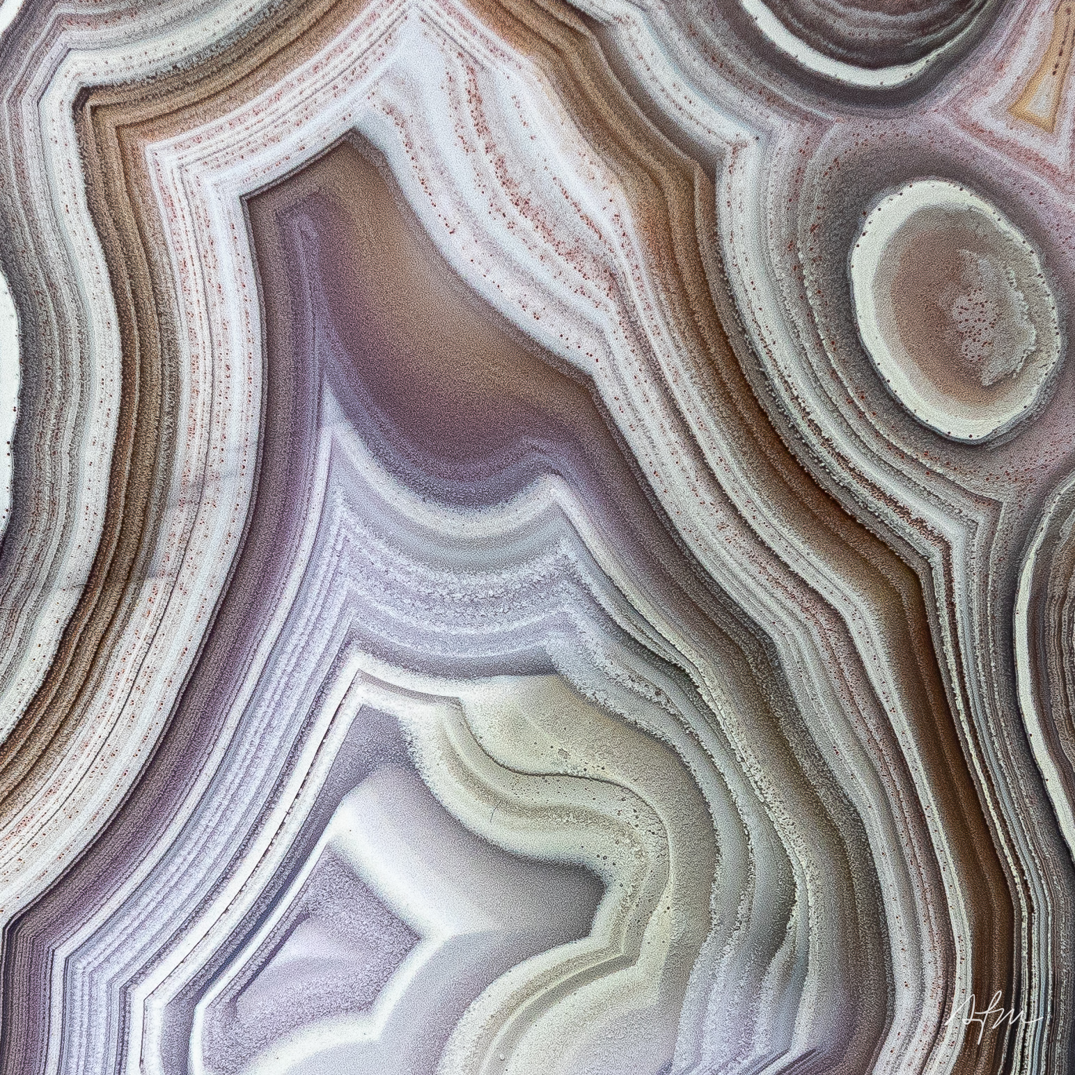 Contours of Harmony - view 3