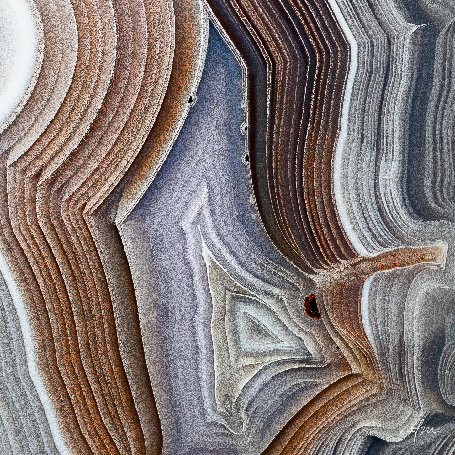 Palisade - view 3