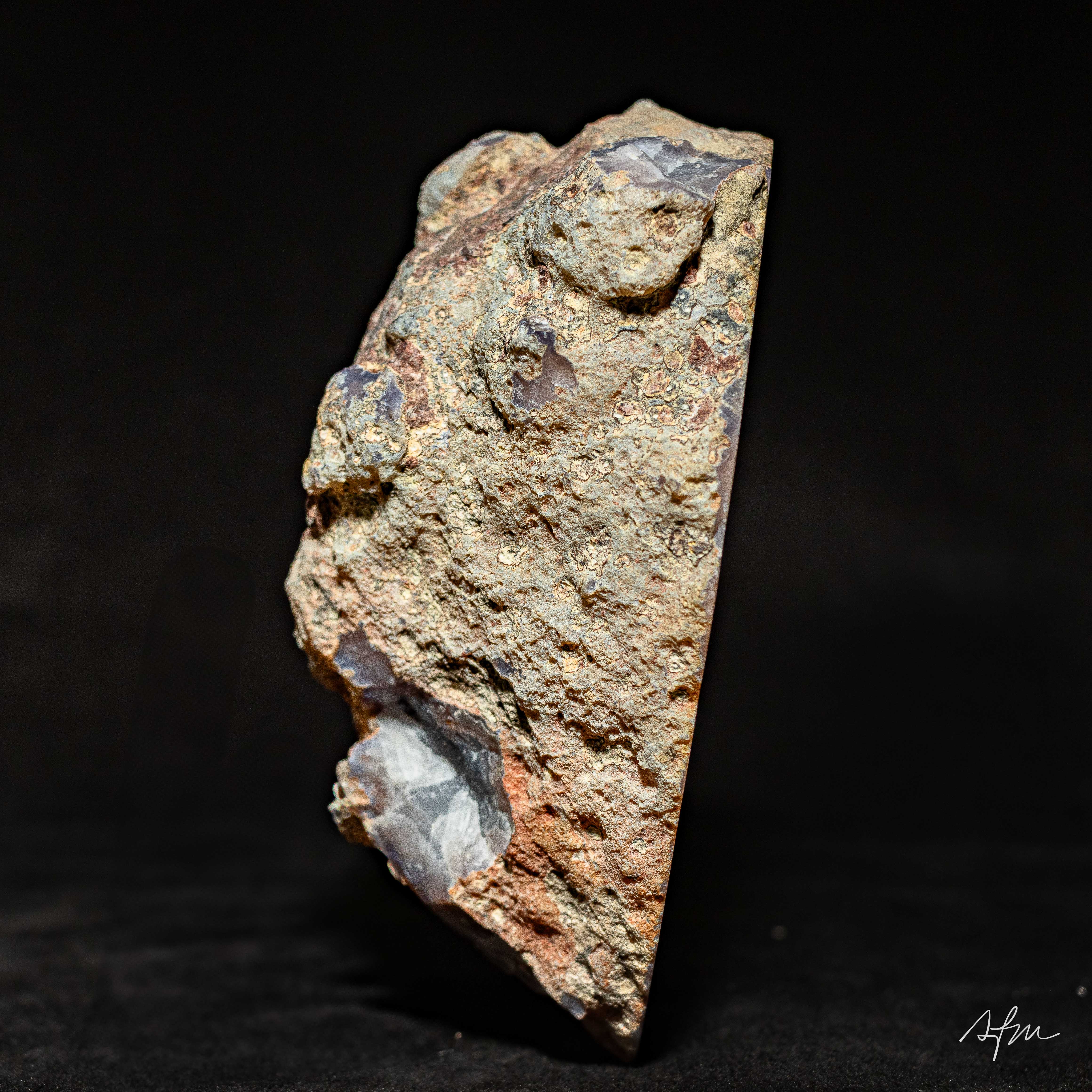 Palisade - view 4