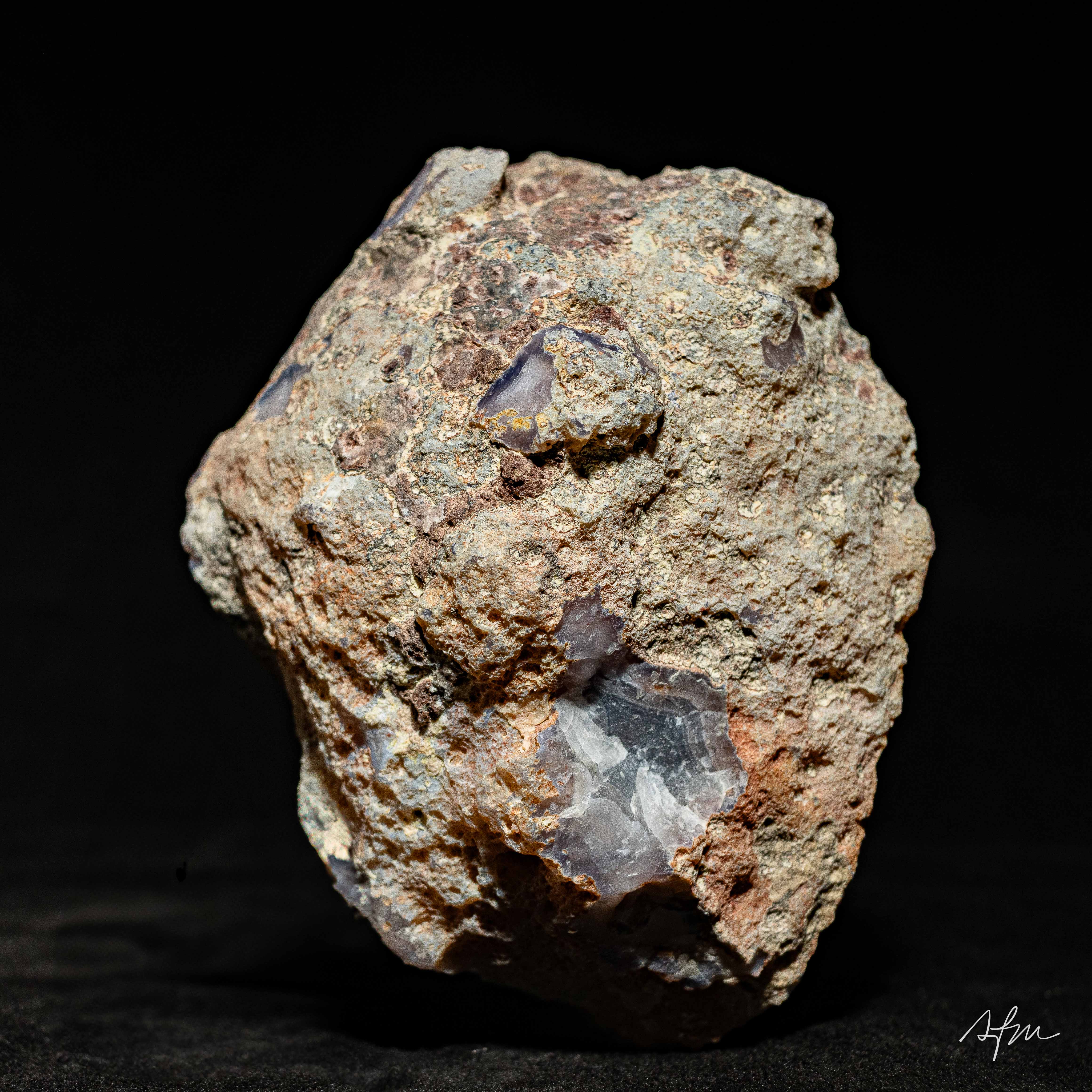 Palisade - view 5