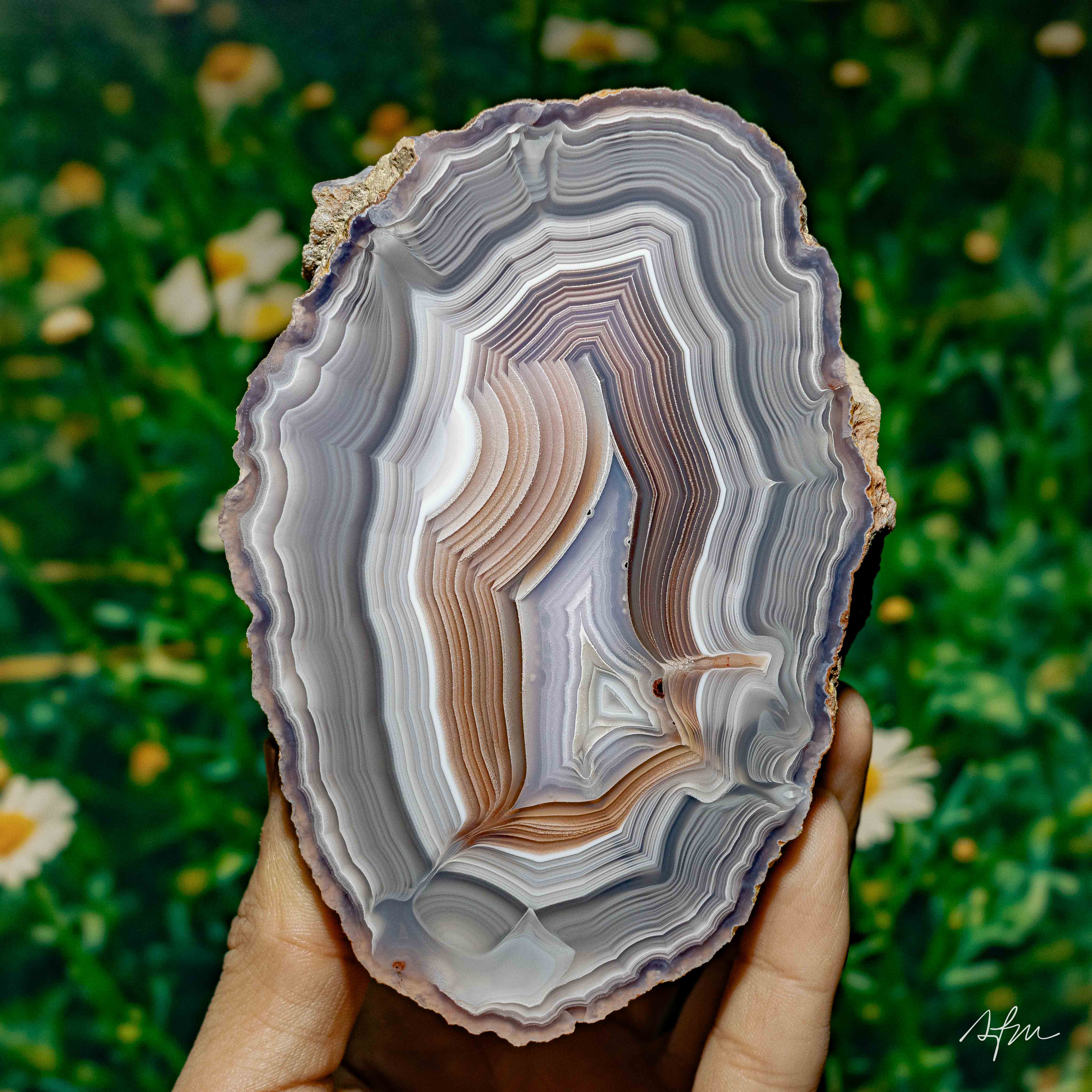 Palisade - view 2
