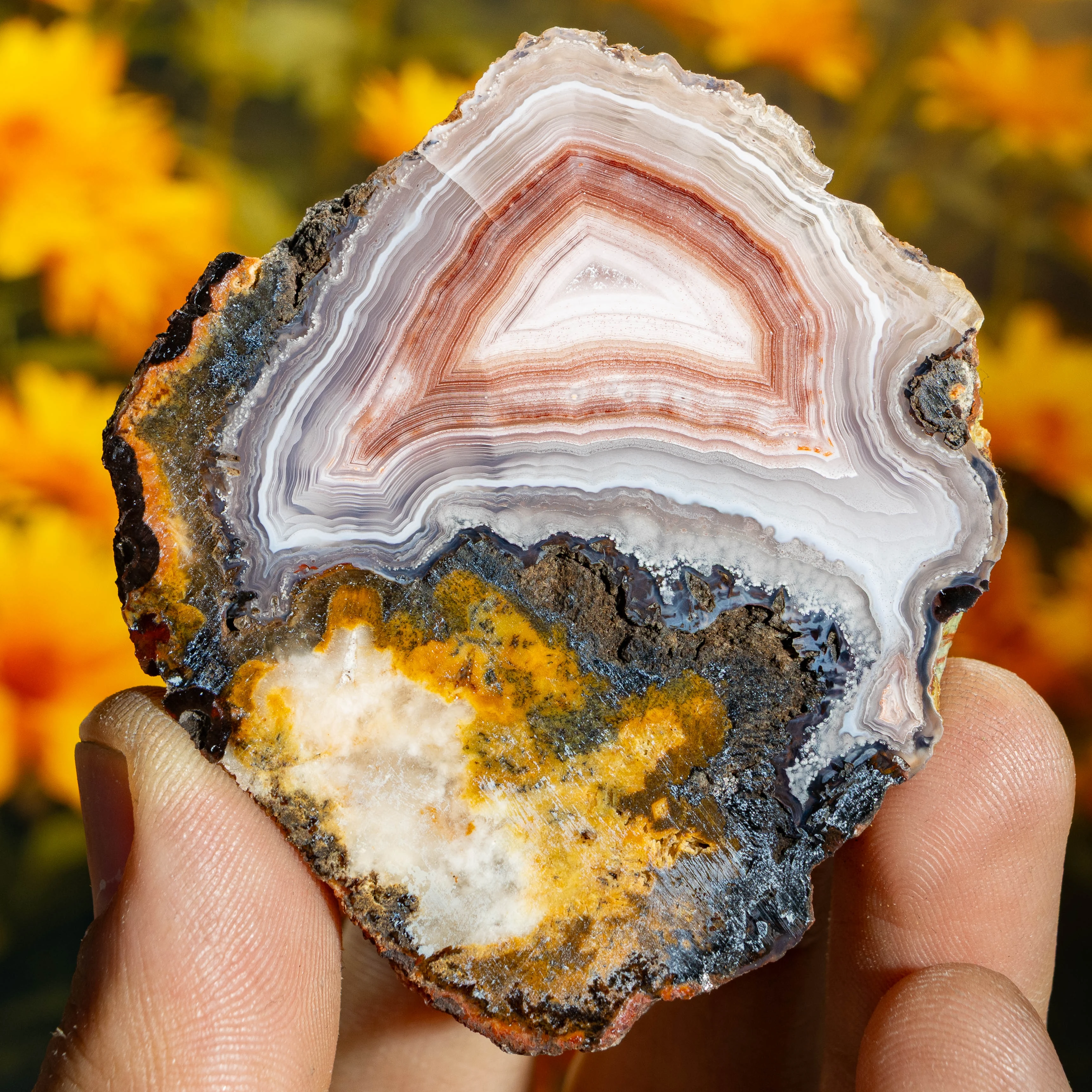 Crimson Lantern (LAG25515) – $600 – Agates From Mexico