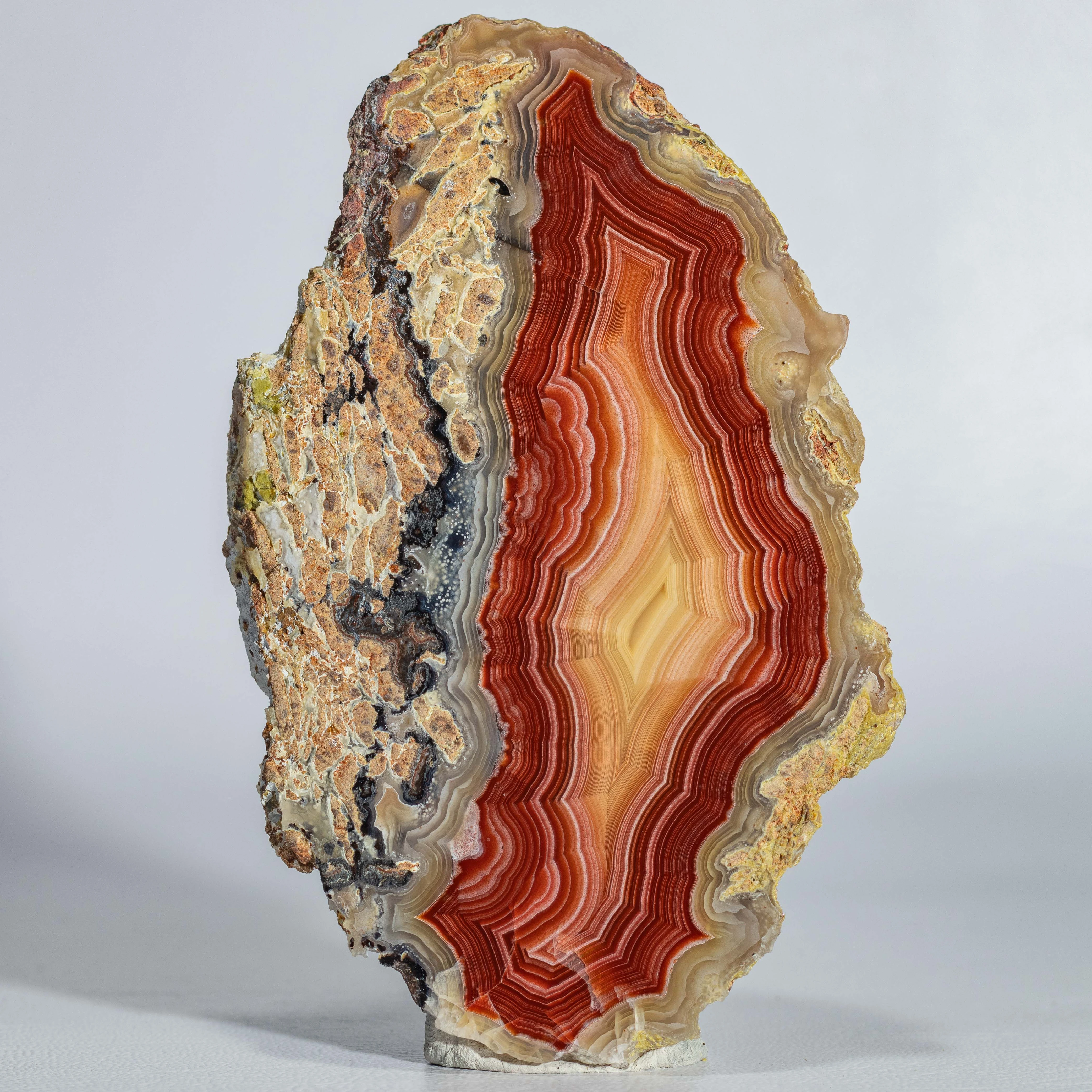 Redgold - view 5