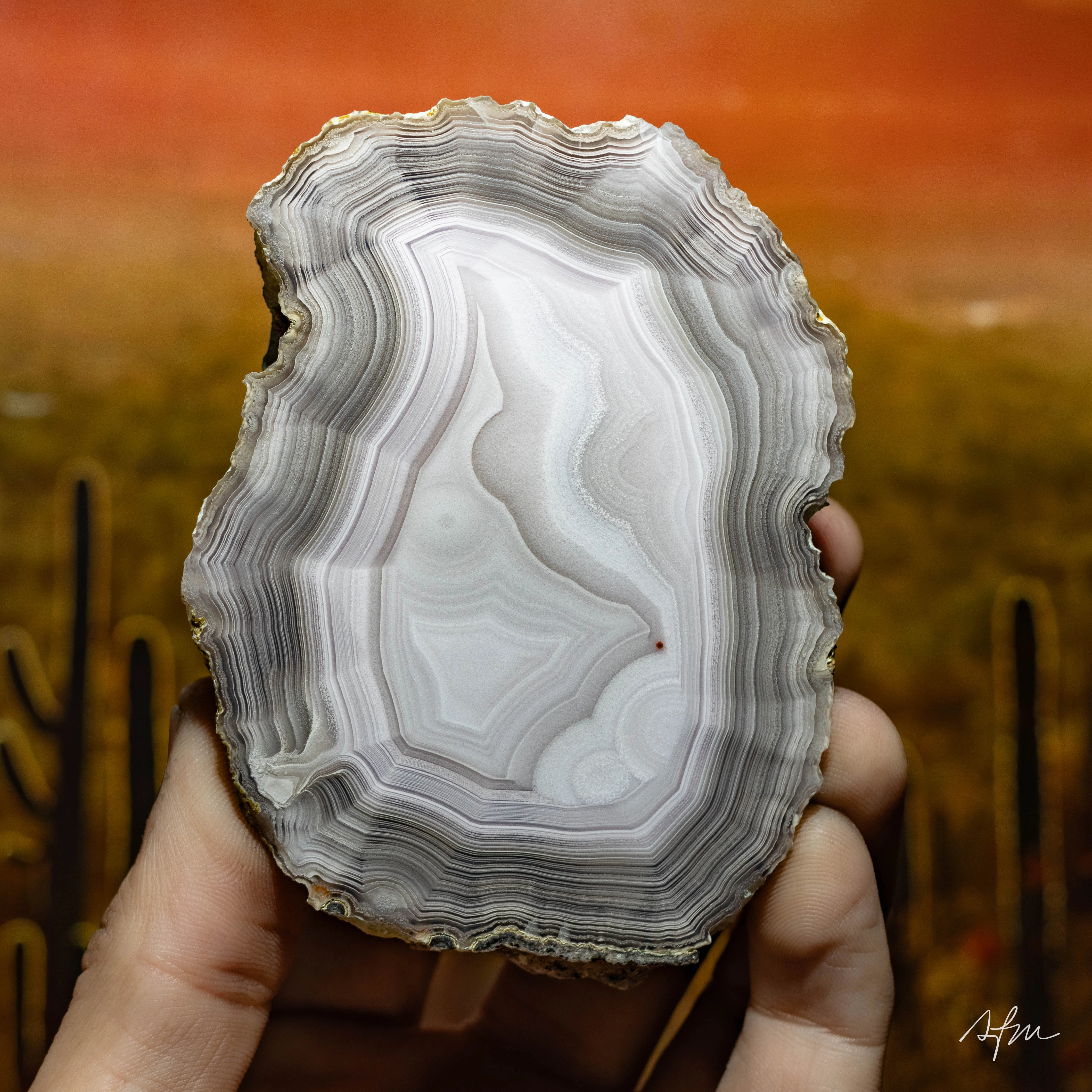 Silent Strata - view 2