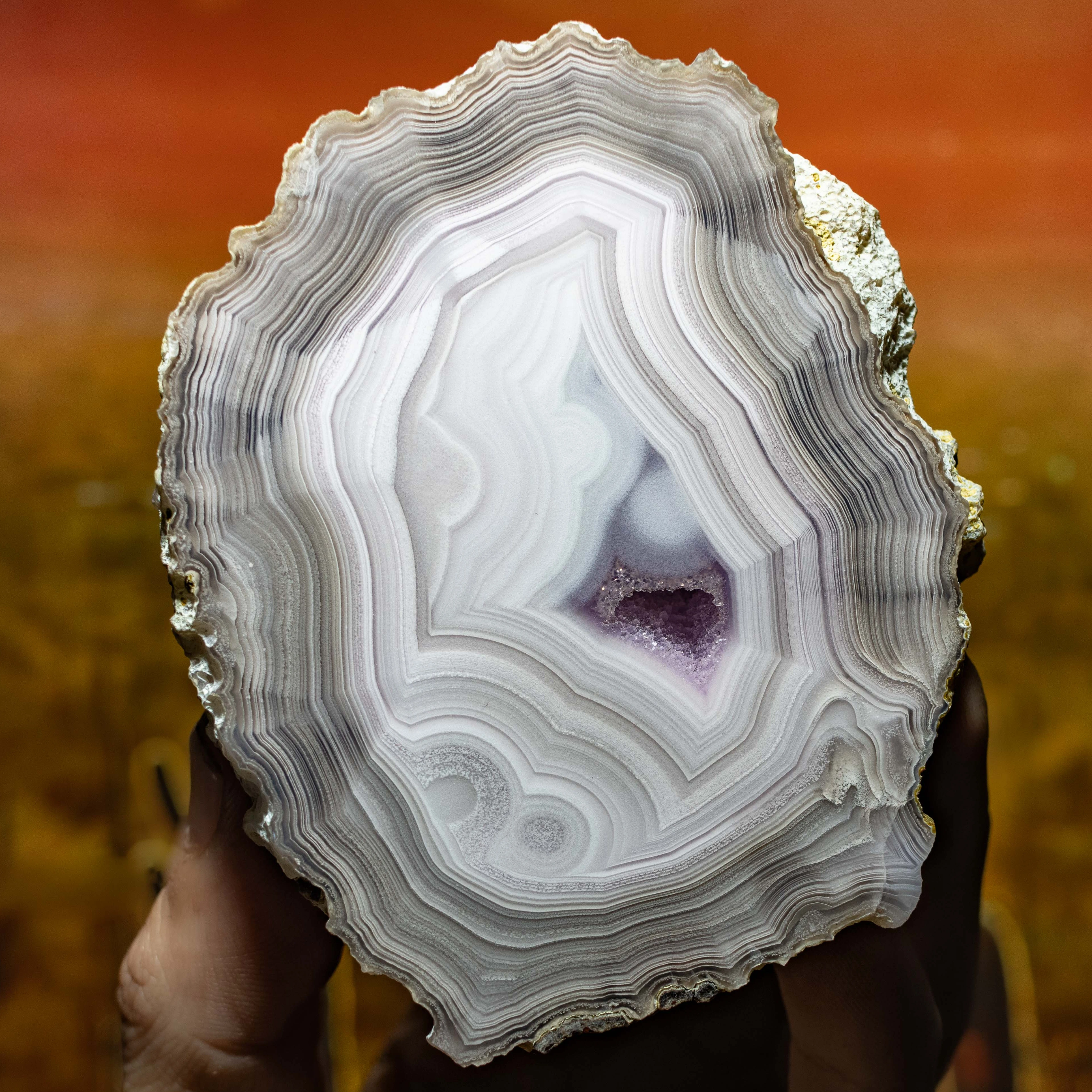Serenity Pulse - view 2