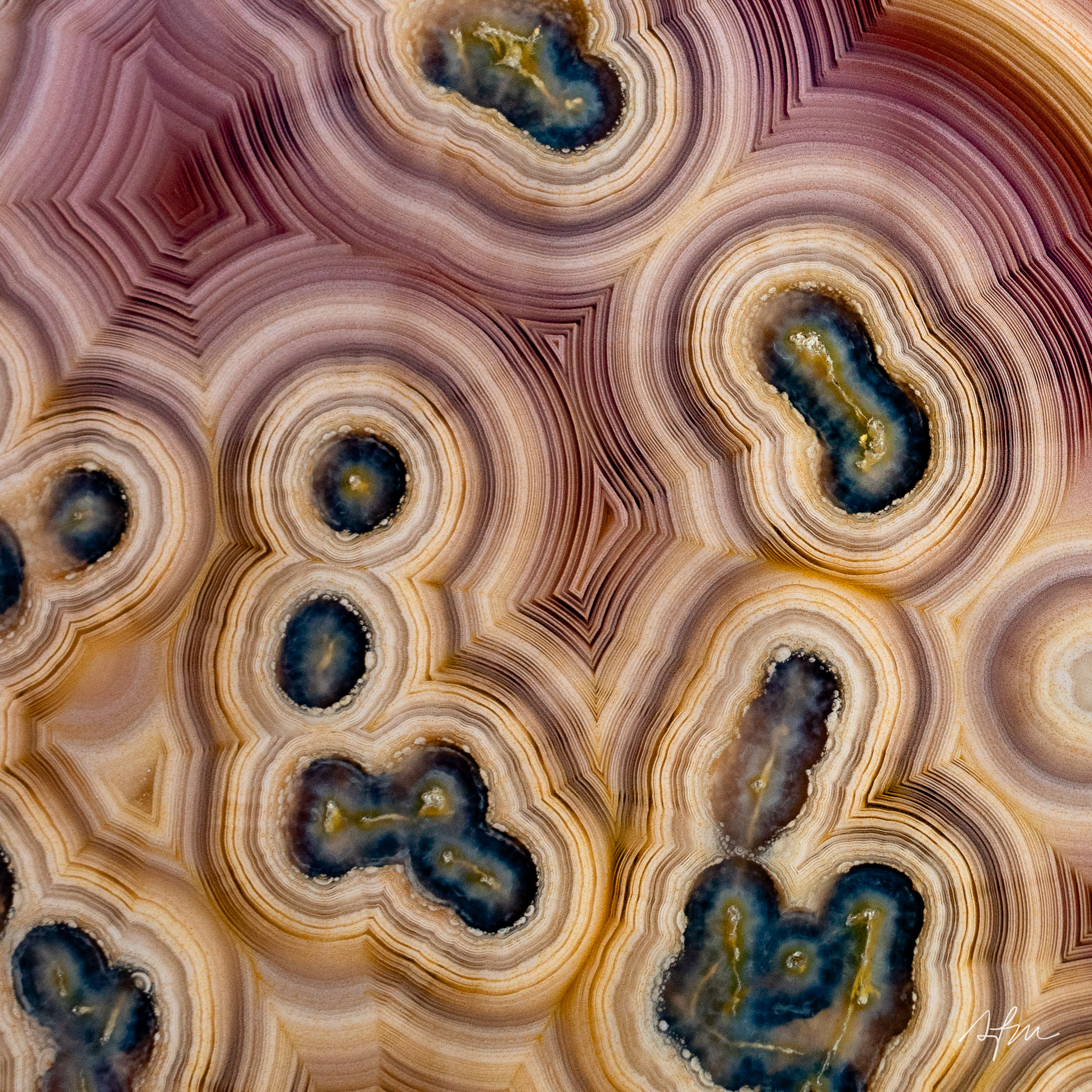 Orbit Harmony - view 3