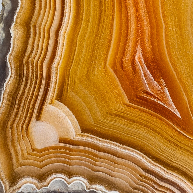 Koi - view 3