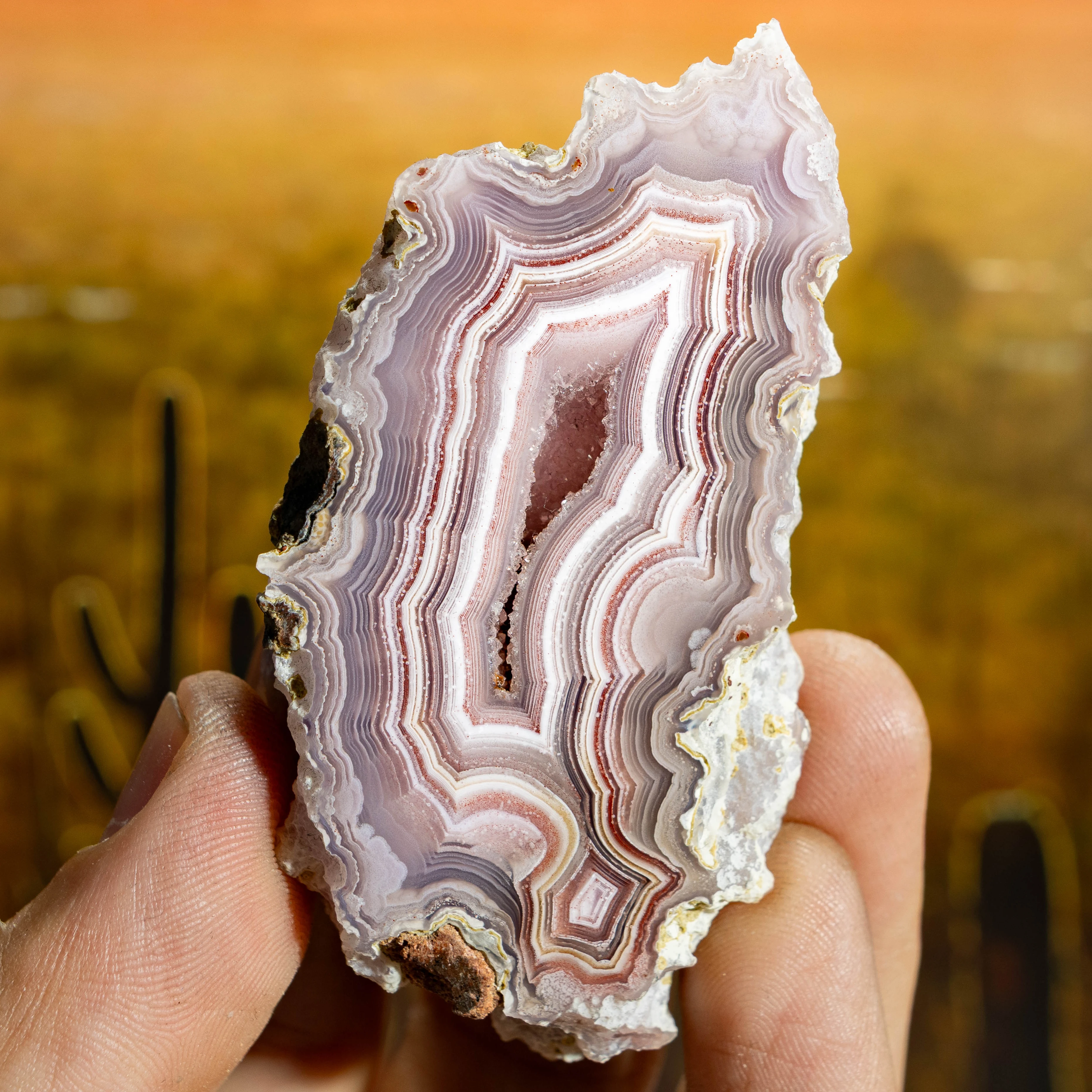 Pinkglint - view 2