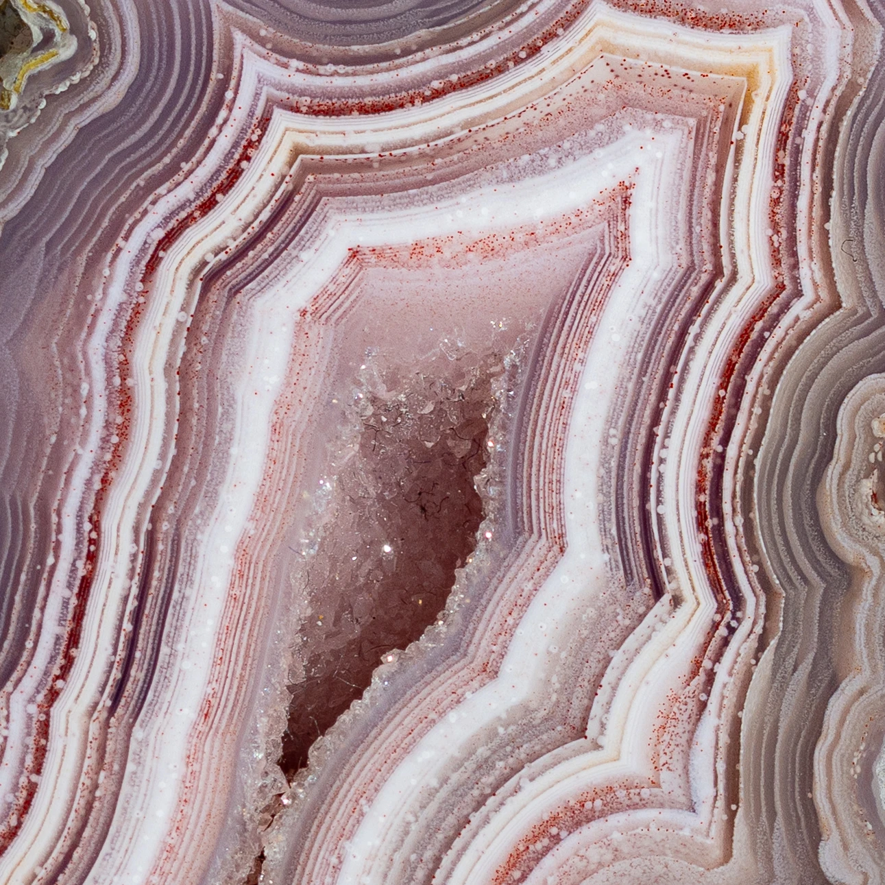 Pinkglint - view 4