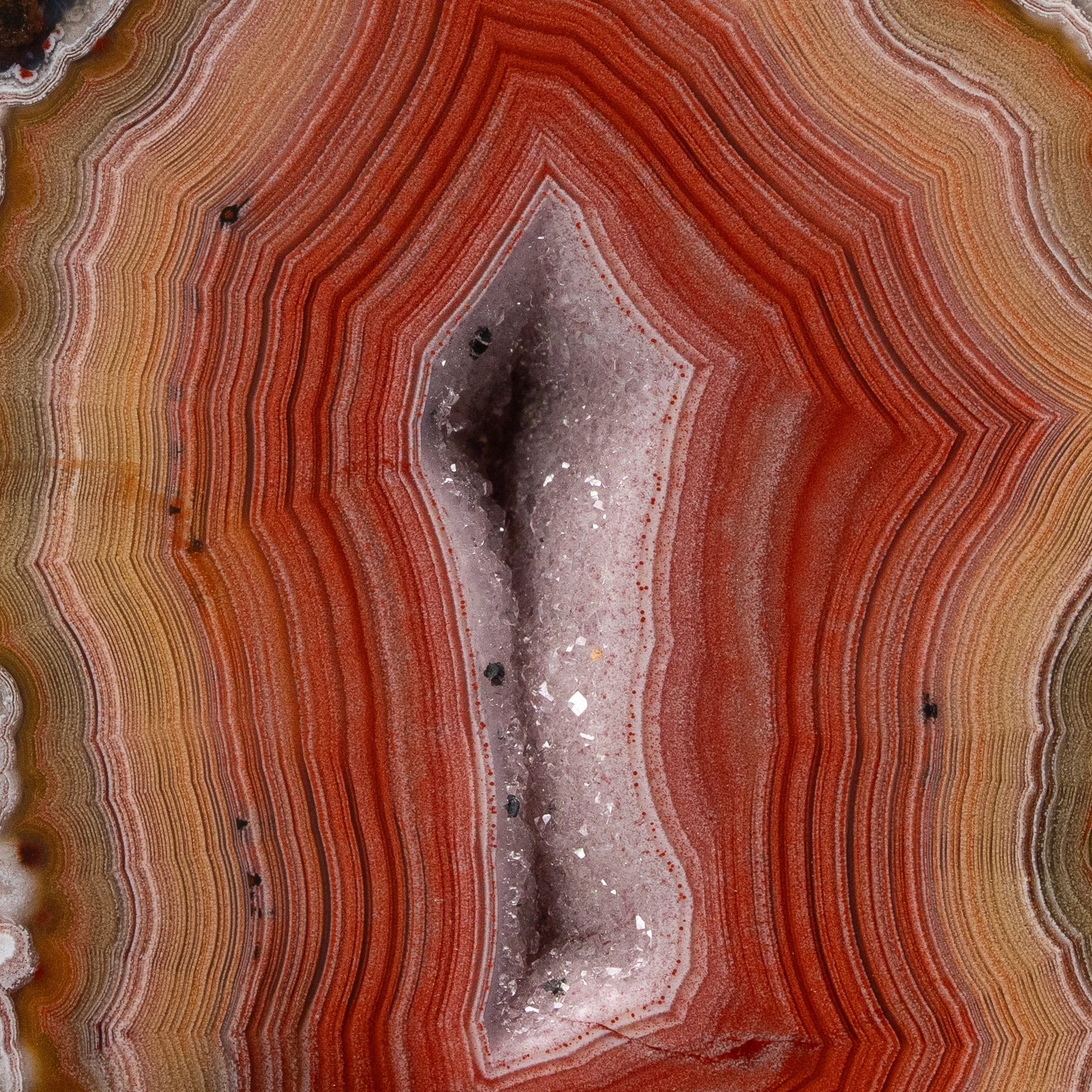 Red Velve - view 4