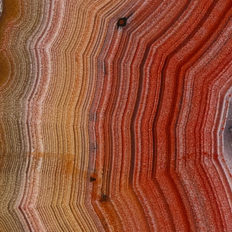 Red Velve - view 5