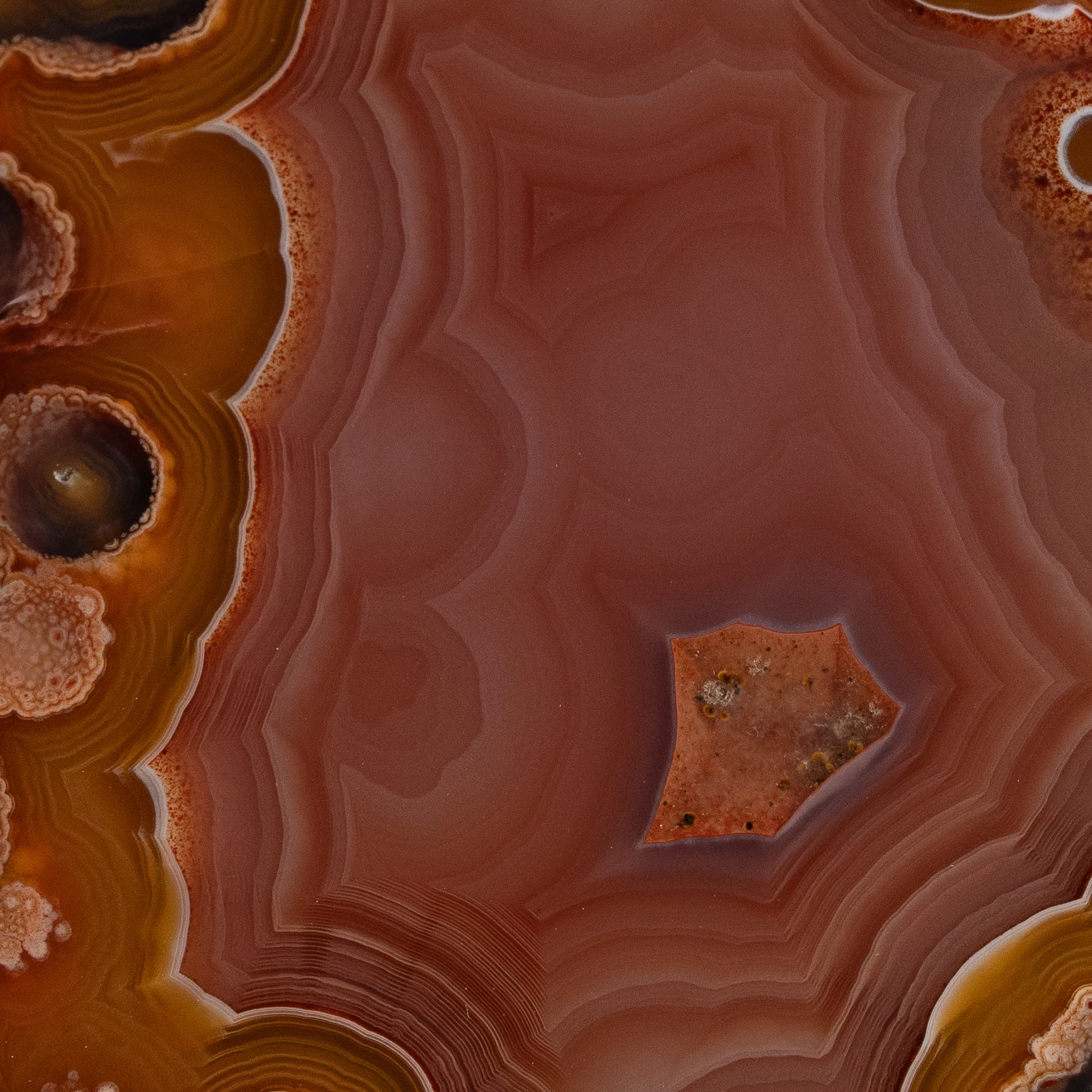Cosmic Star - view 3