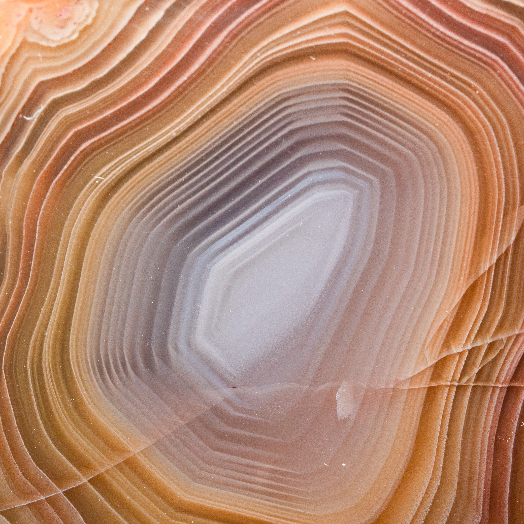 Eve - view 3