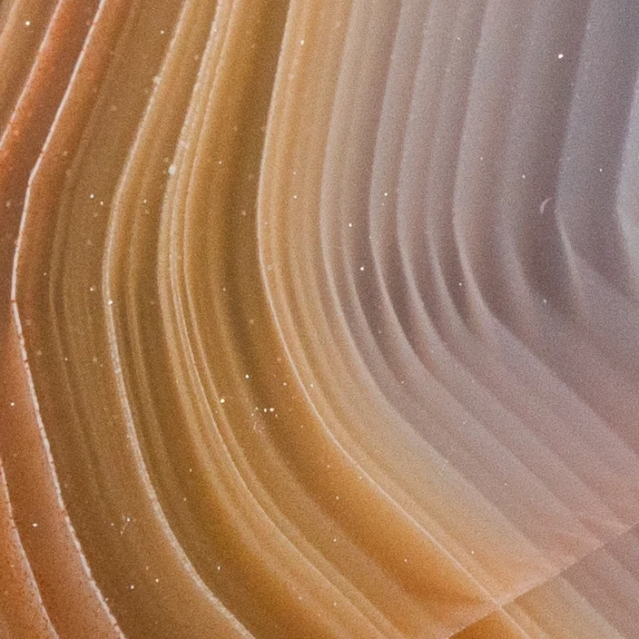 Eve - view 5