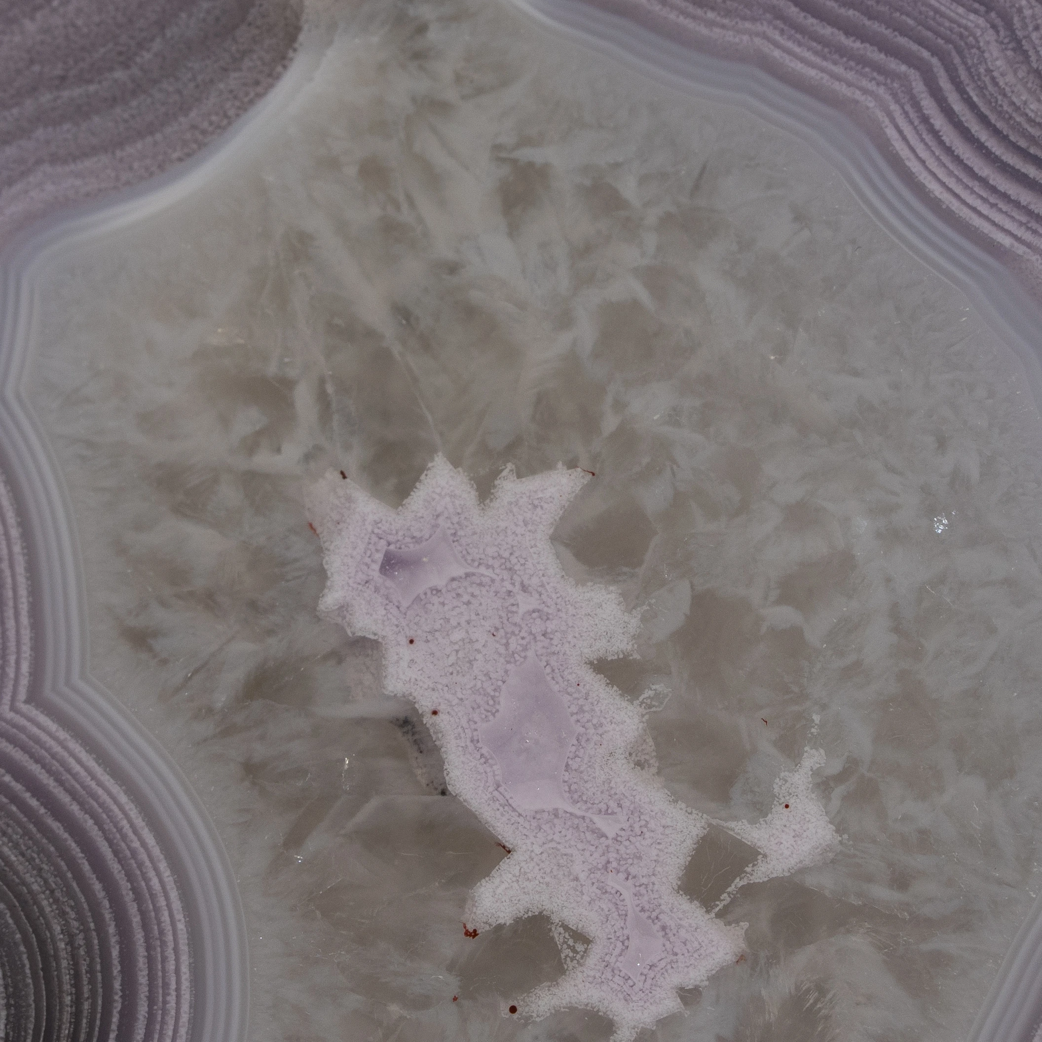 Violet Spark - view 3