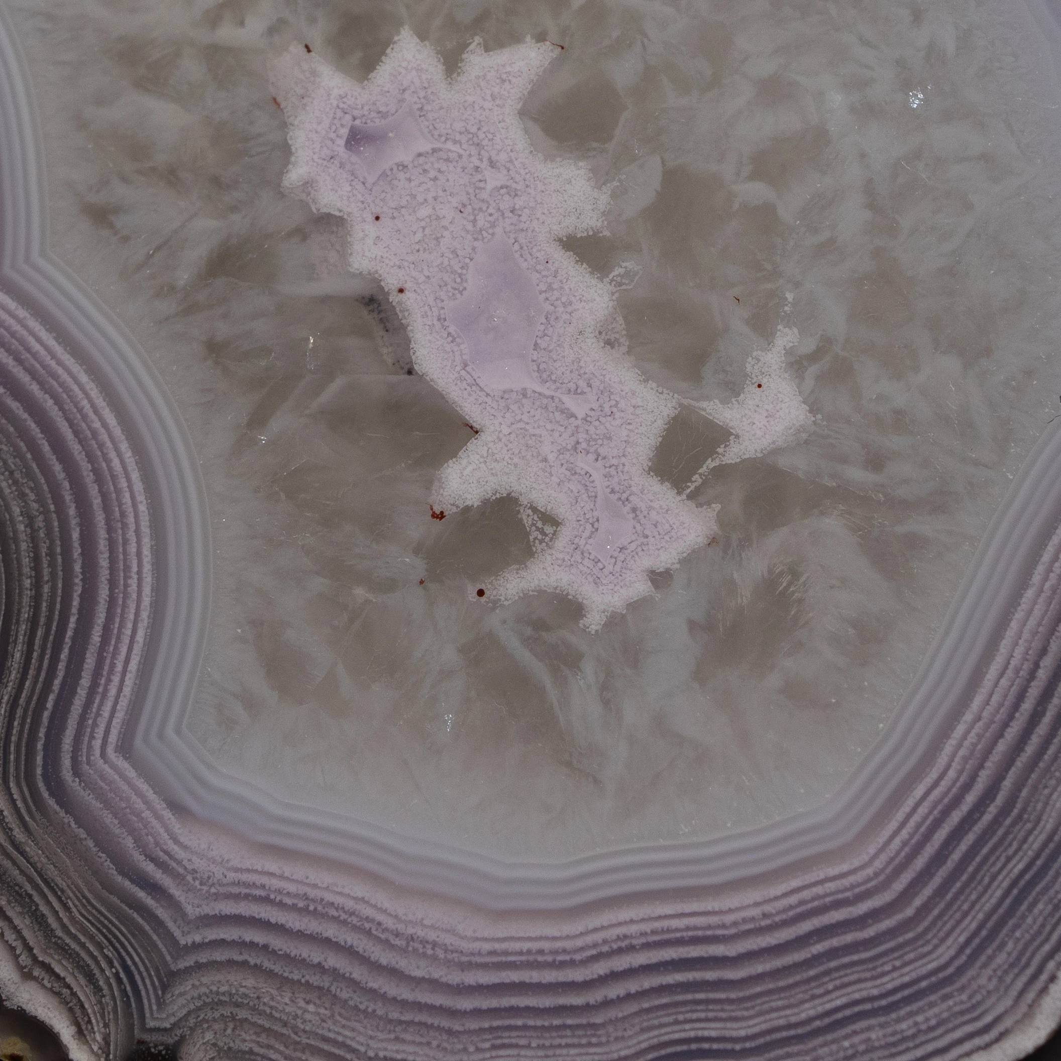 Violet Spark - view 4