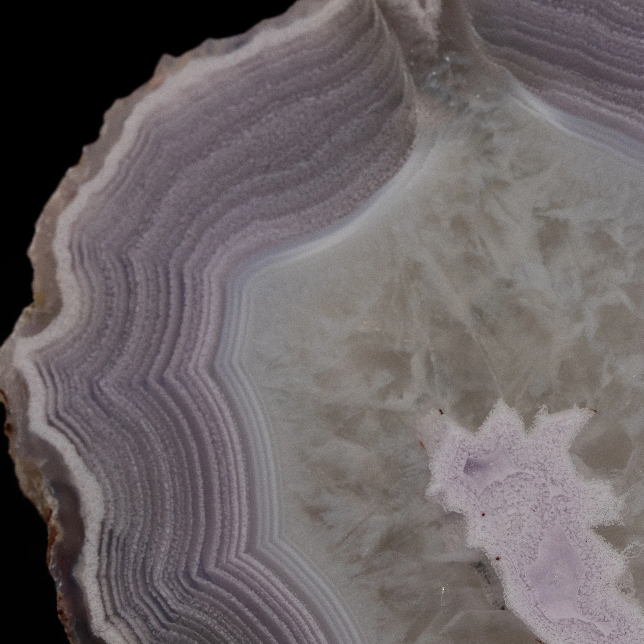 Violet Spark - view 5