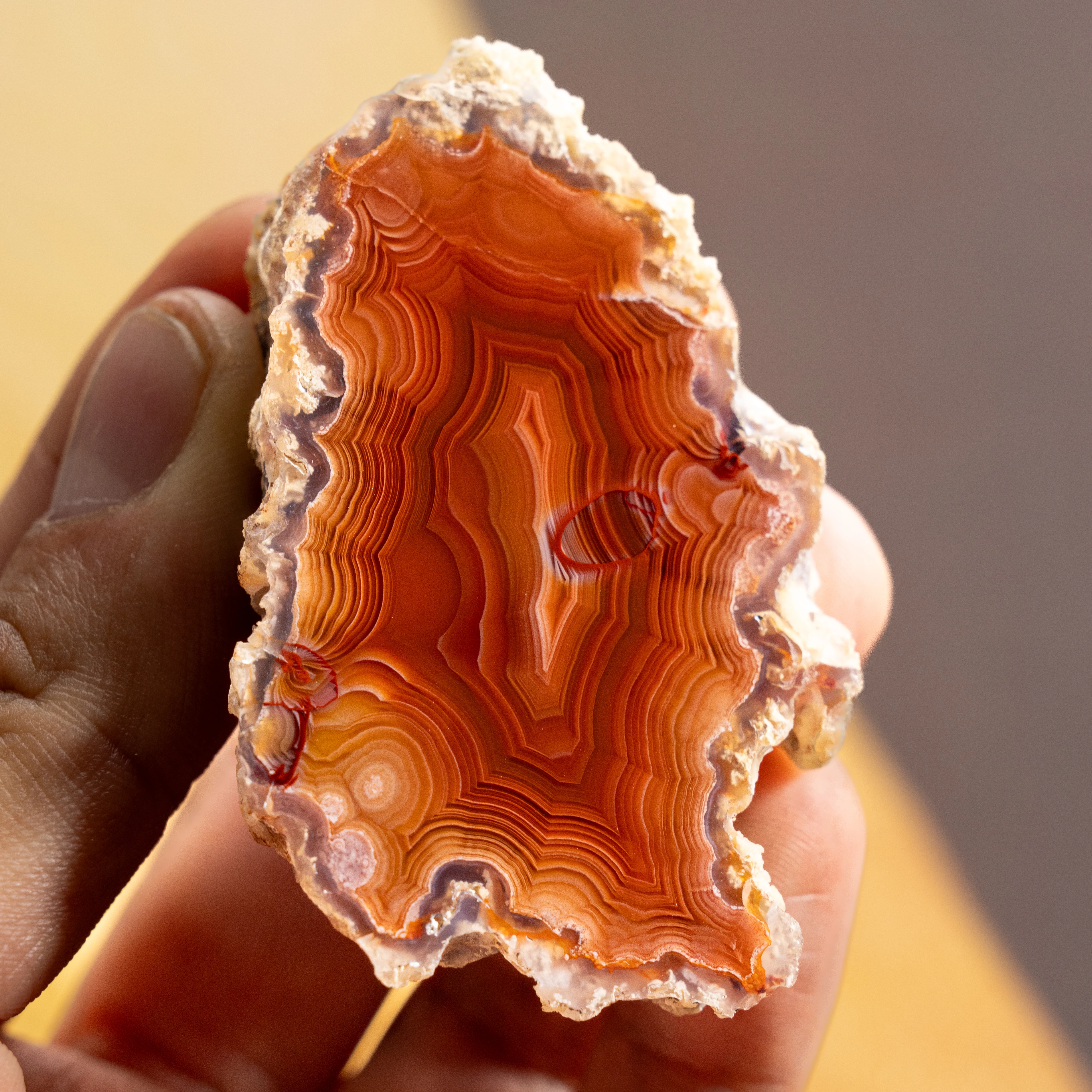 Burnt Amber Drift - view 2