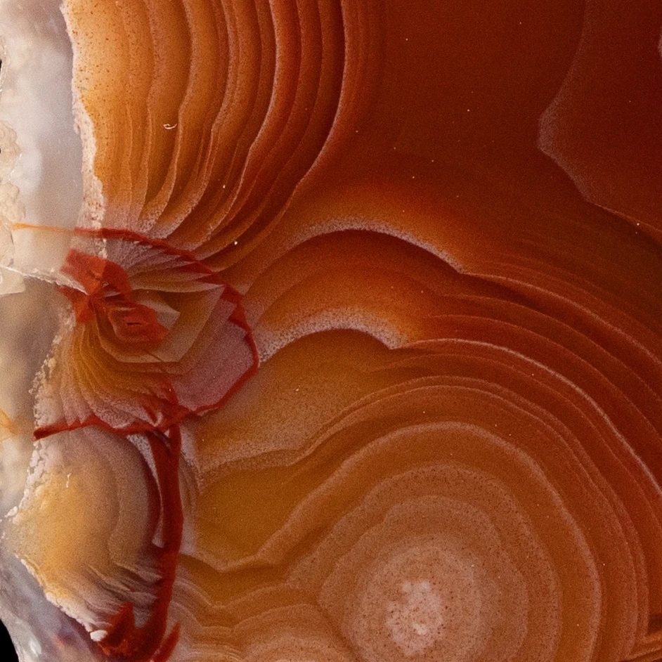 Burnt Amber Drift - view 4