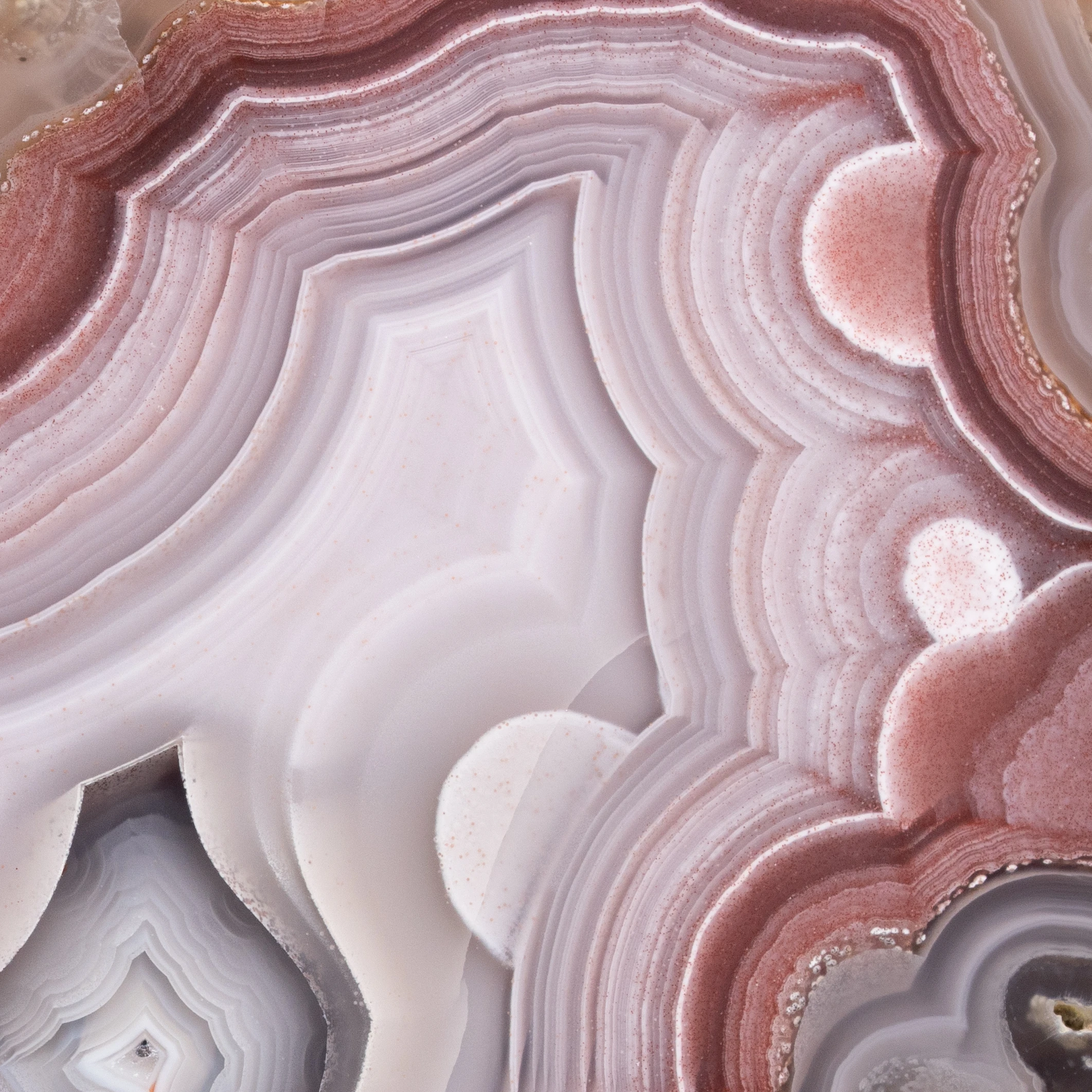 Crimson Cartography - view 4