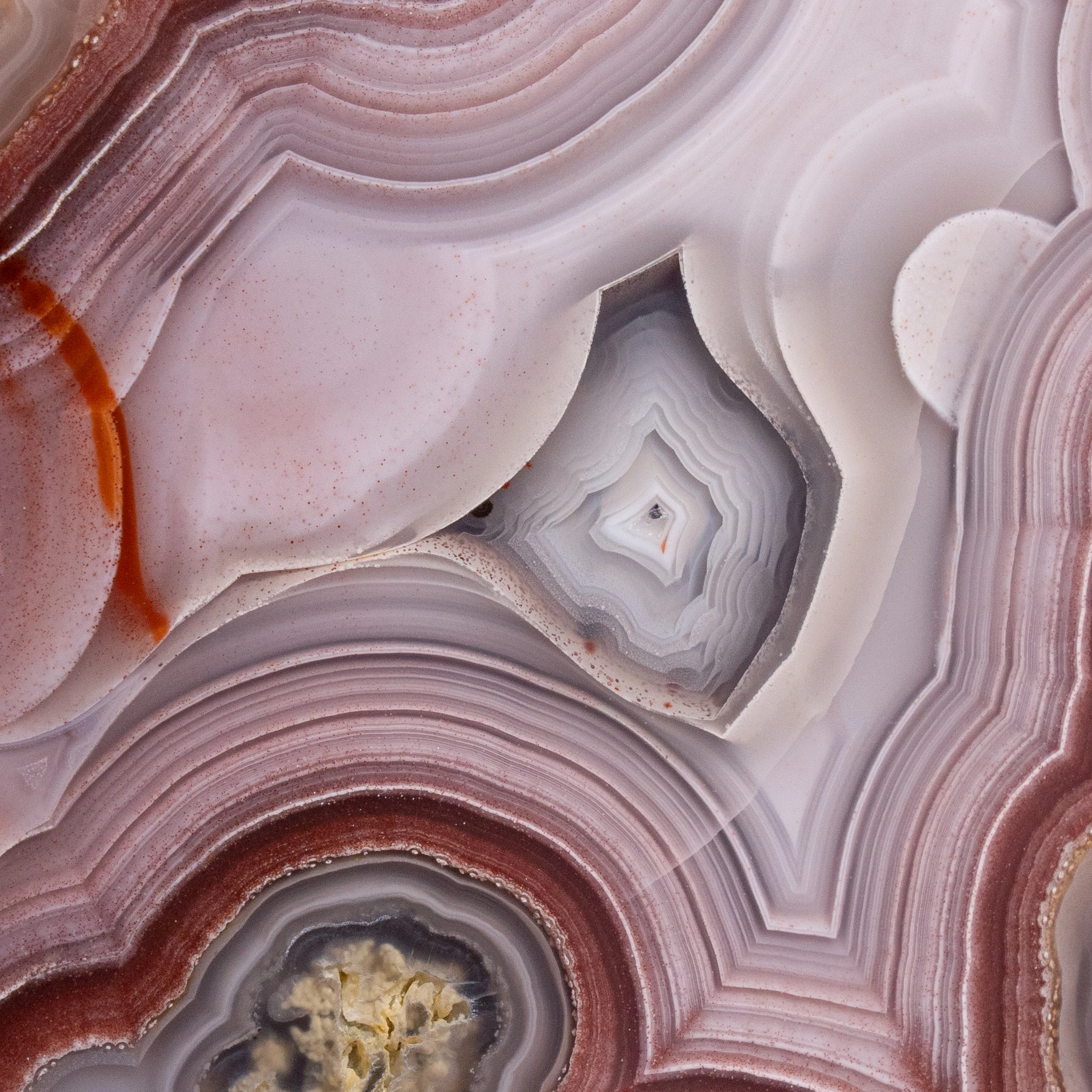 Crimson Cartography - view 3