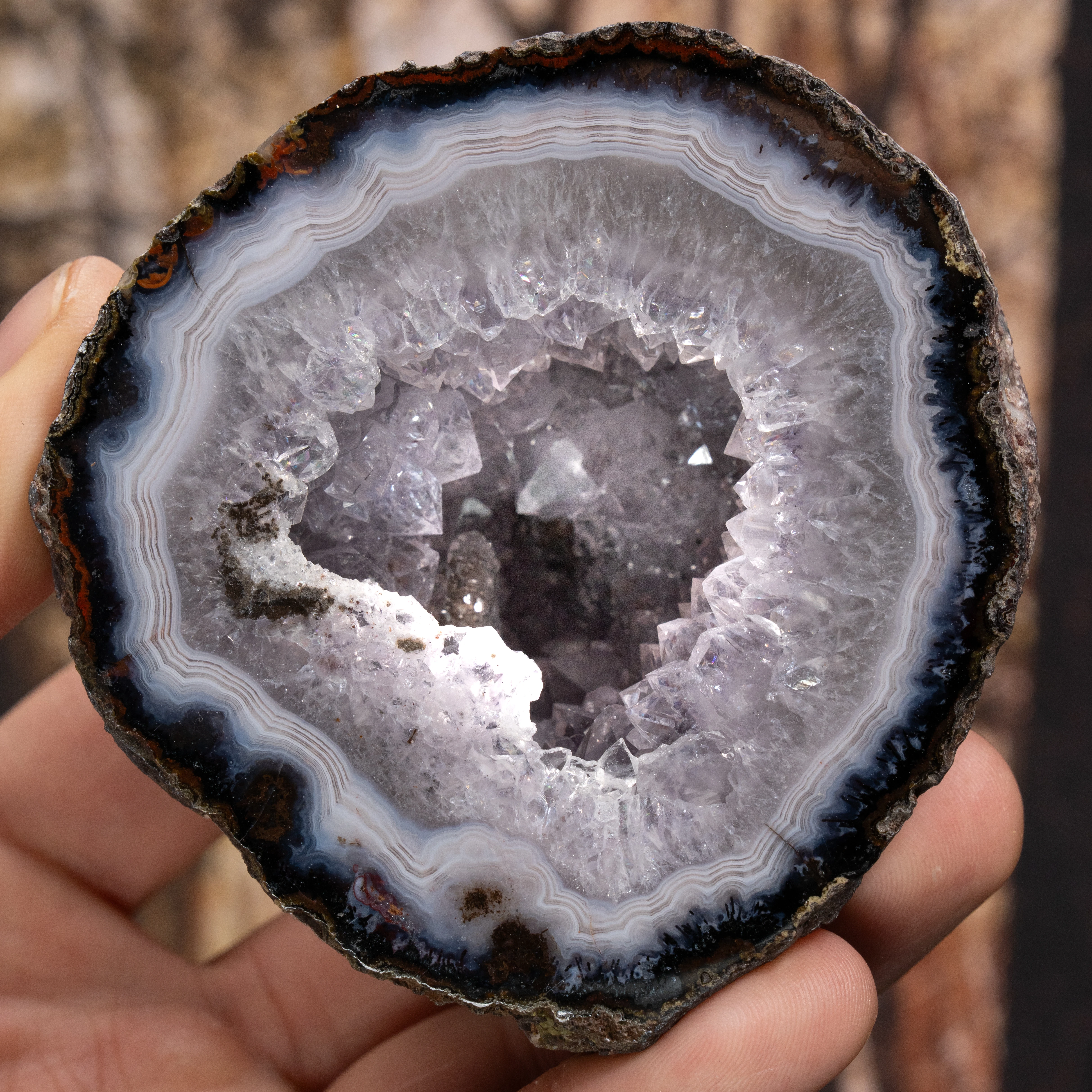 Crystal Halo - view 2
