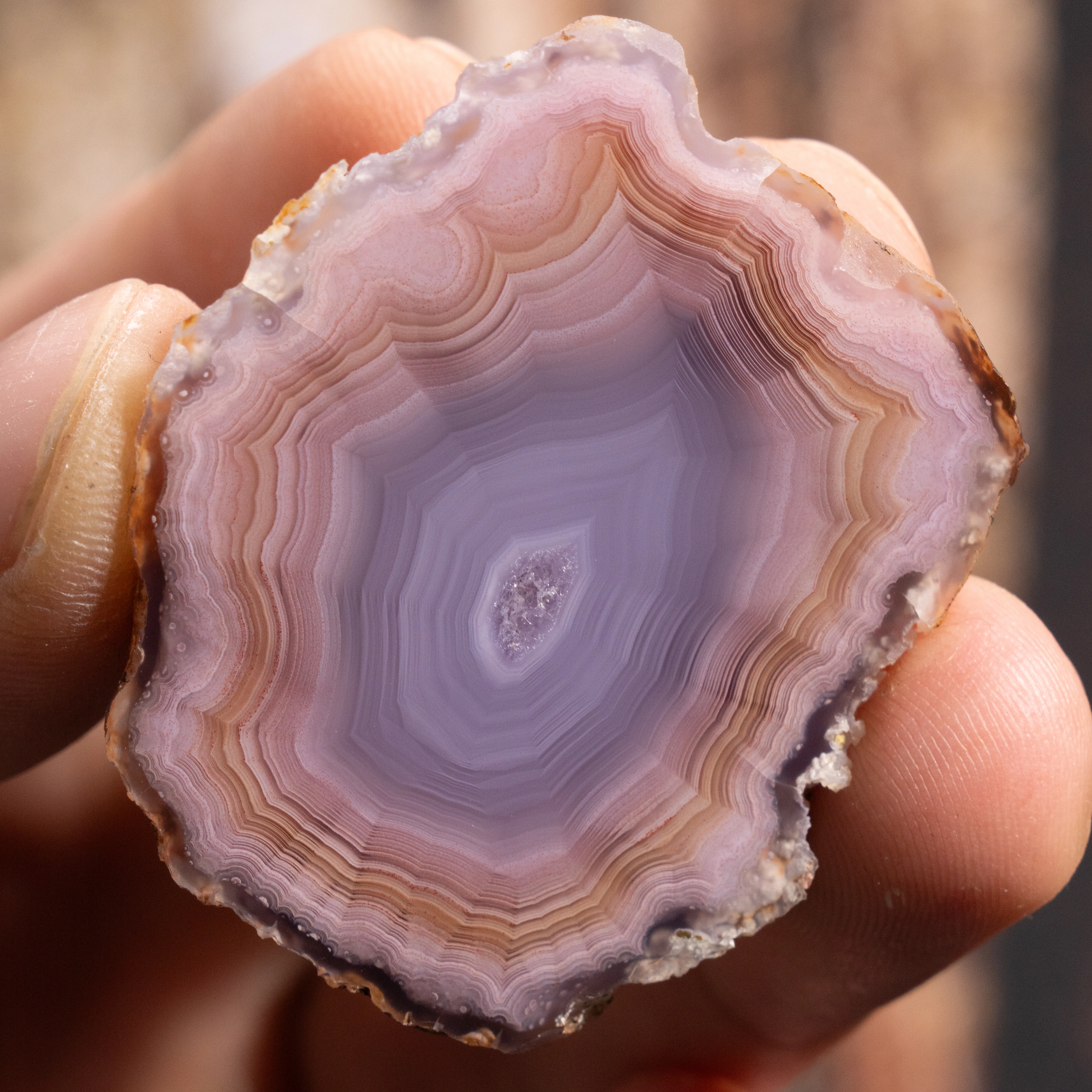 Violet Horizon - view 2