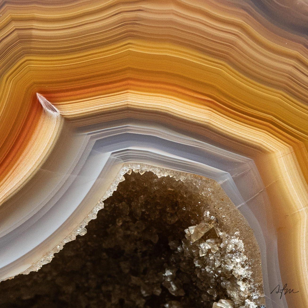 Mossed Dawn - view 3