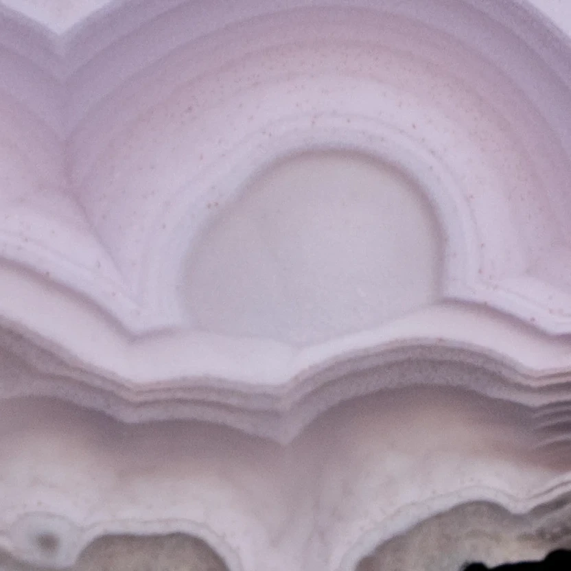 Lilac Veils - view 5