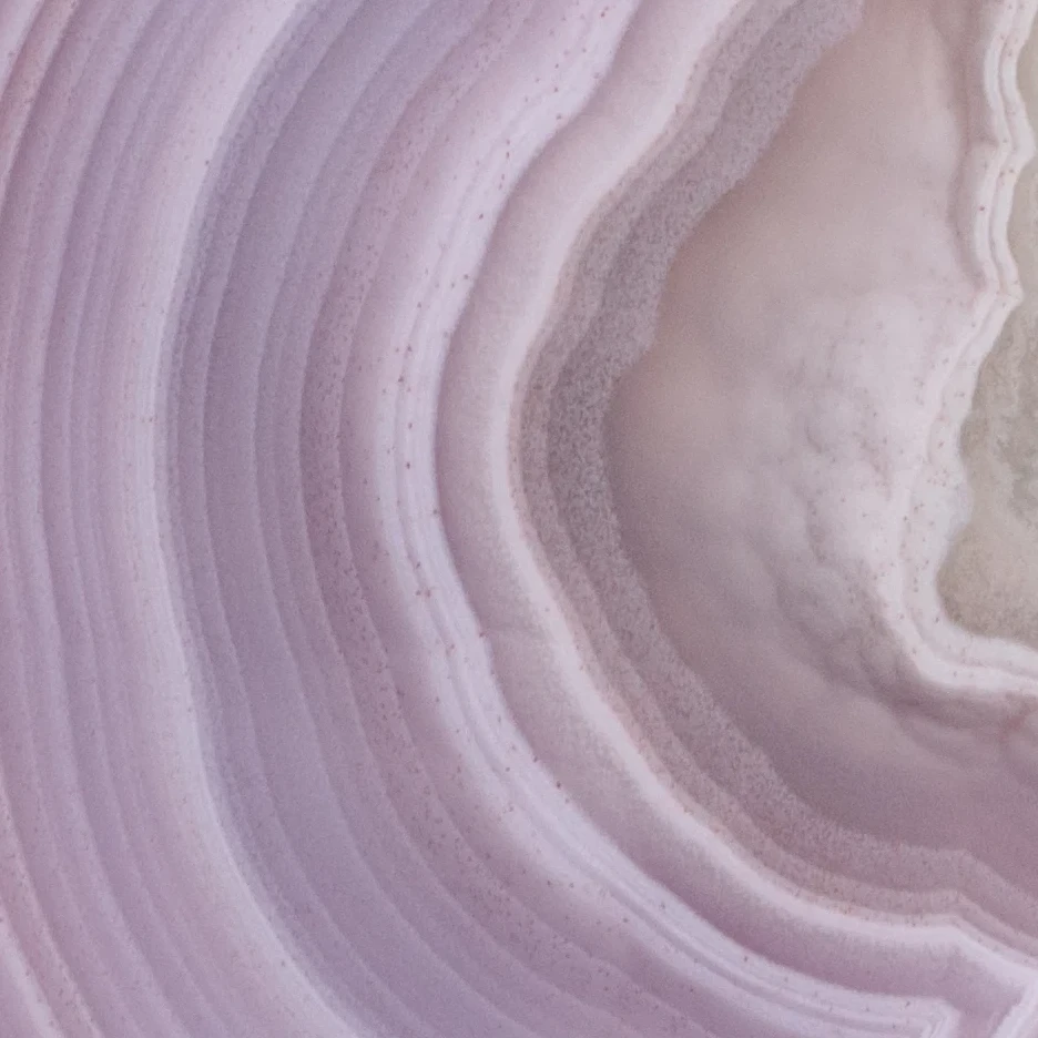 Lilac Veils - view 4