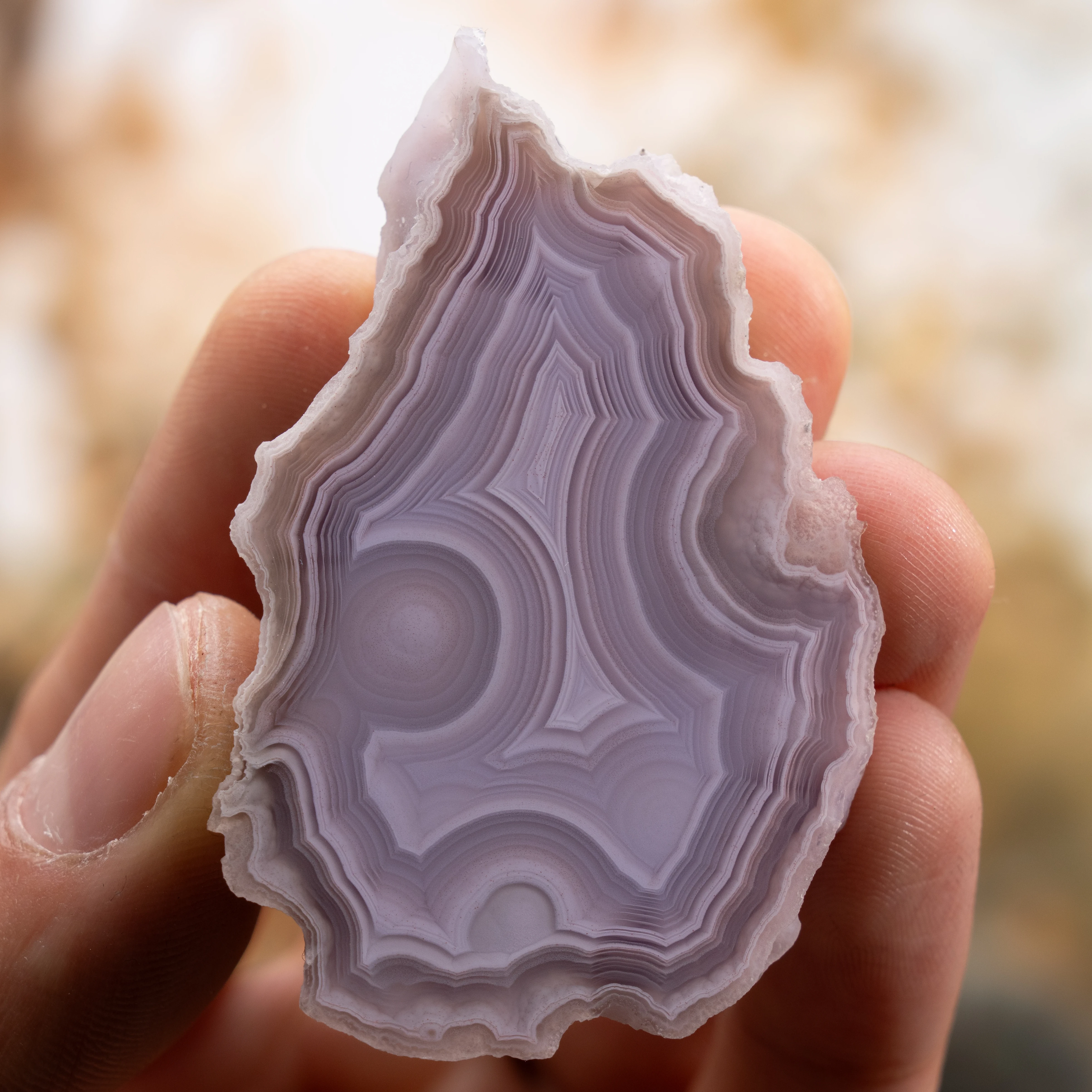 Lilac Veils - view 2