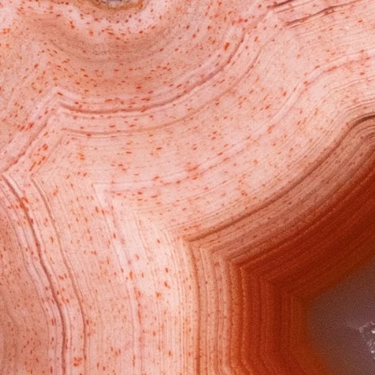 Crimson Lantern - view 3