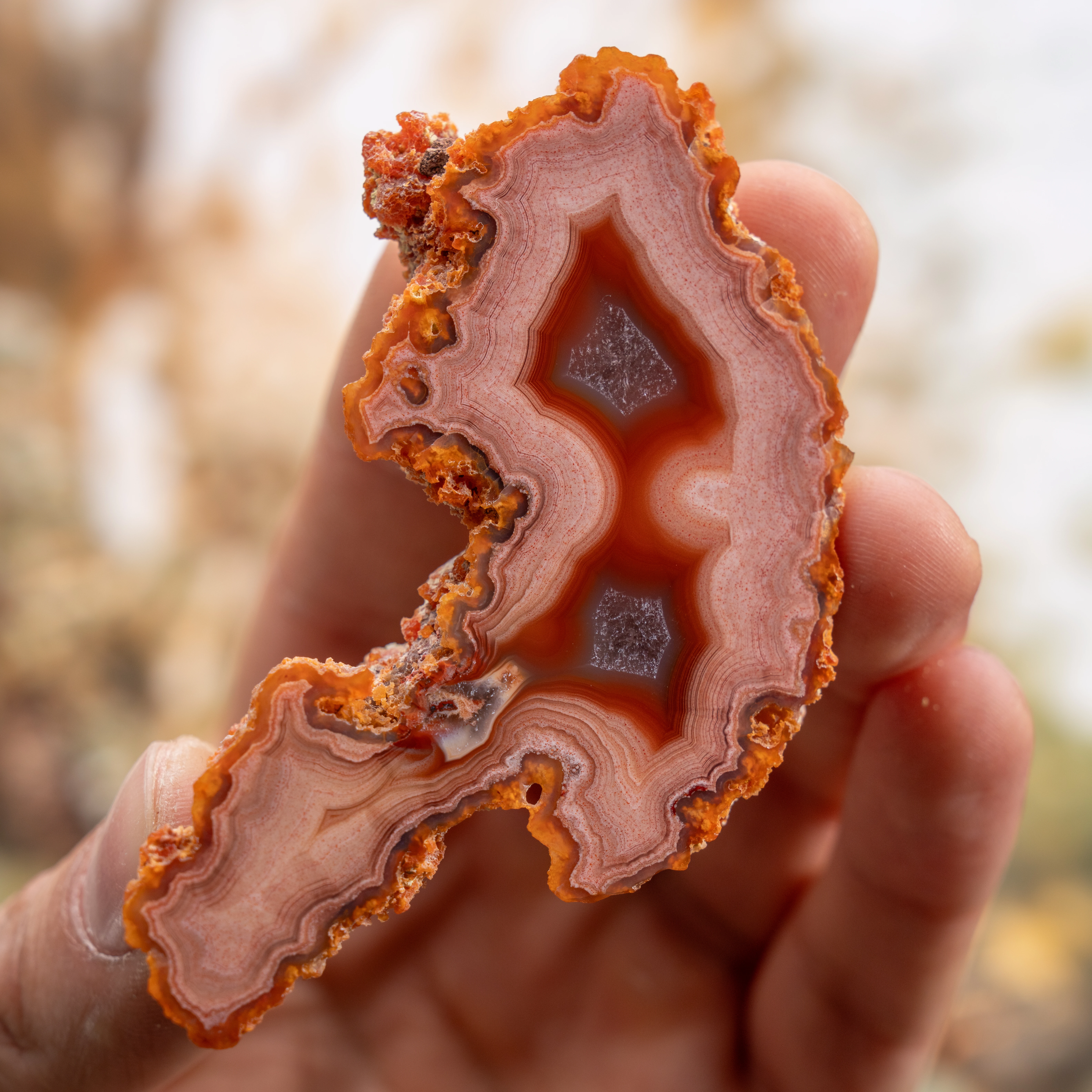 Crimson Lantern (LAG25515) – $600 – Agates From Mexico