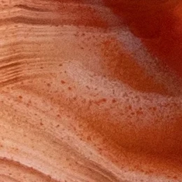 Crimson Lantern - view 4