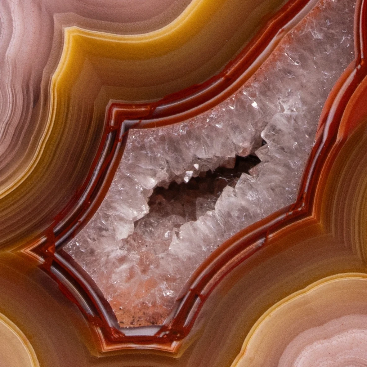 Ember Veils - view 3