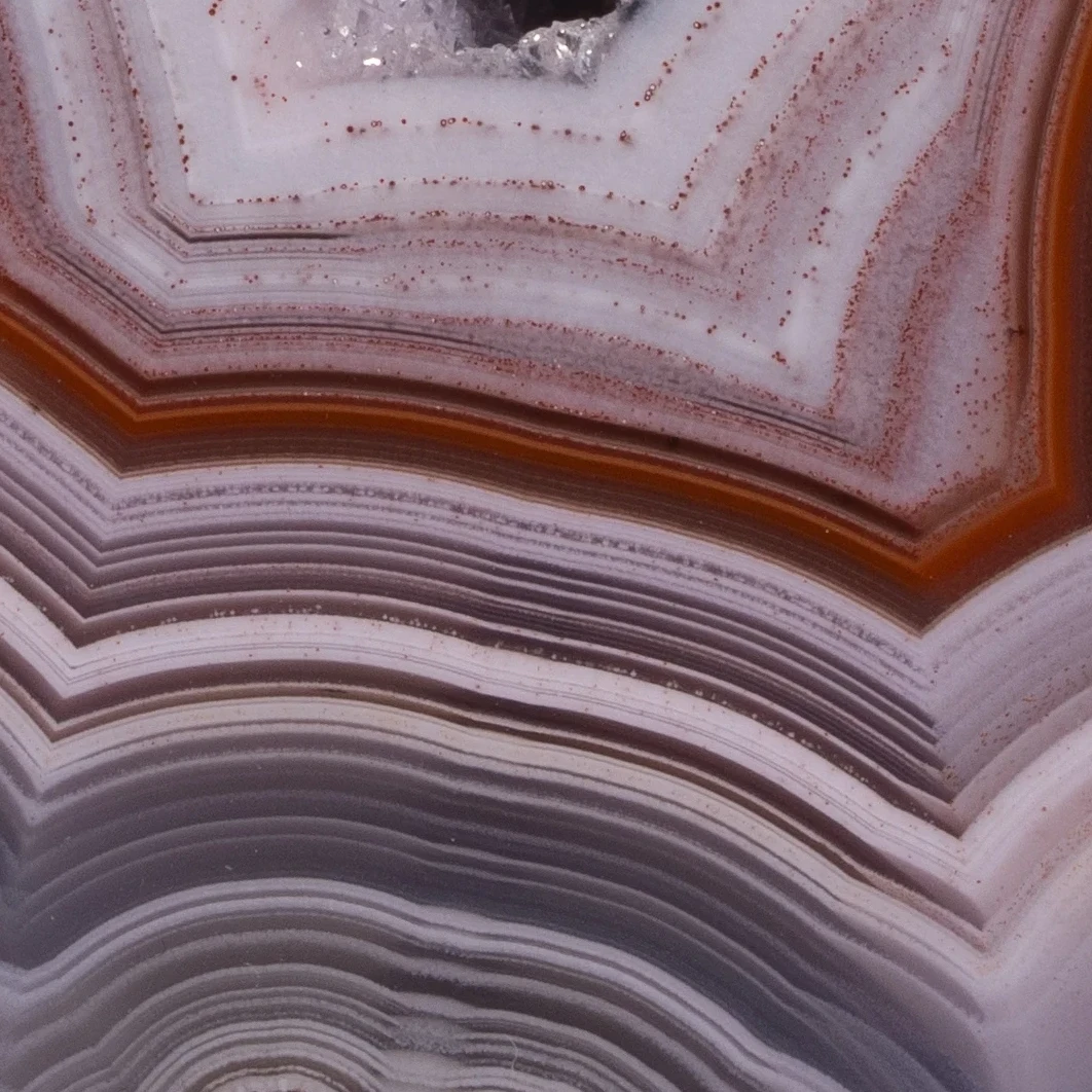 Lavender Echo Portal - view 3