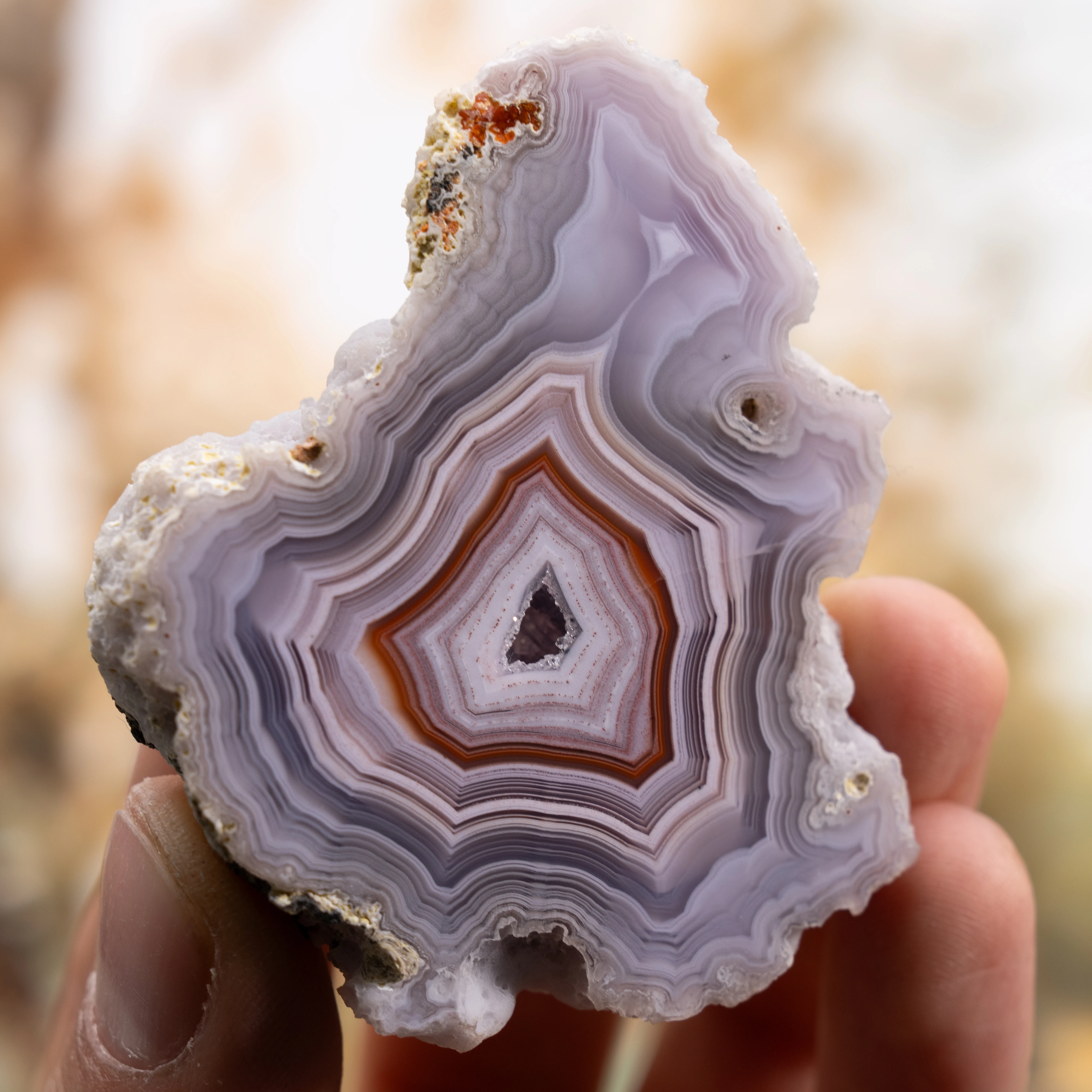 Lavender Echo Portal - view 2