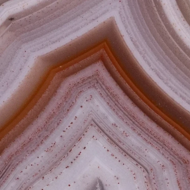Lavender Echo Portal - view 4