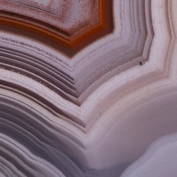 Lavender Echo Portal - view 5