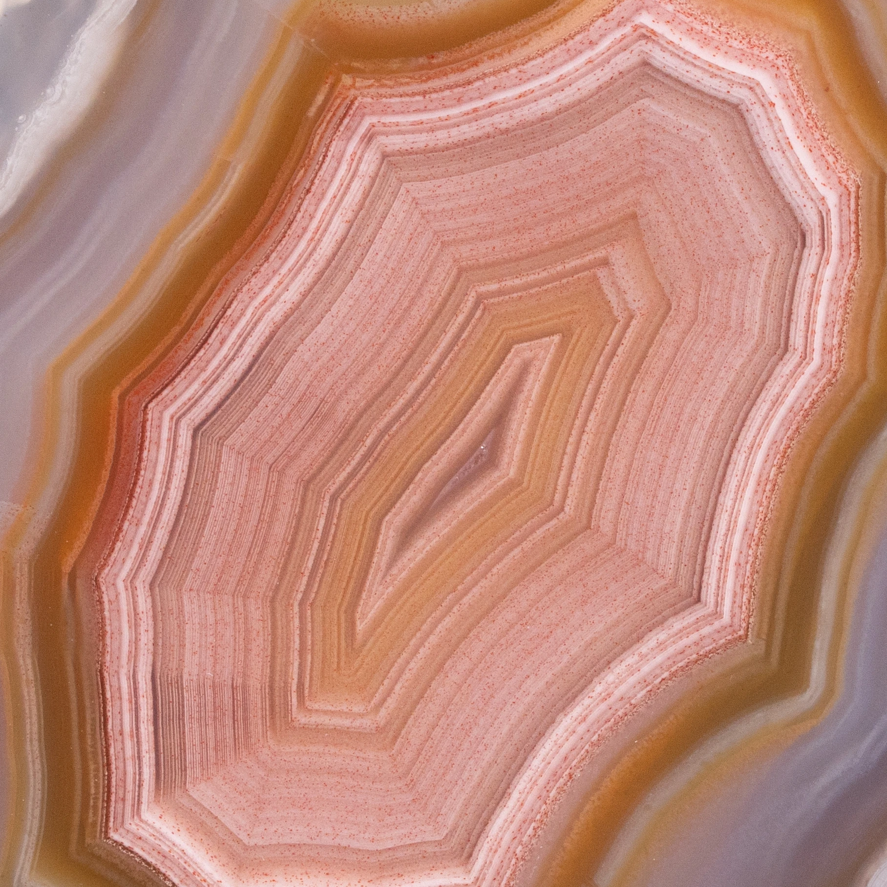 Rosette of Time - view 3
