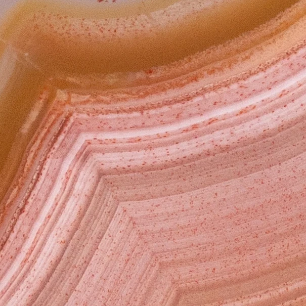 Rosette of Time - view 4