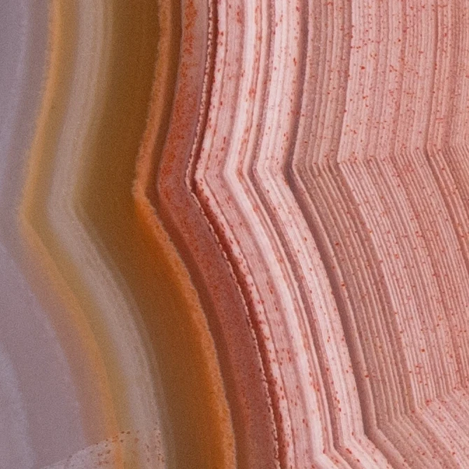 Rosette of Time - view 5