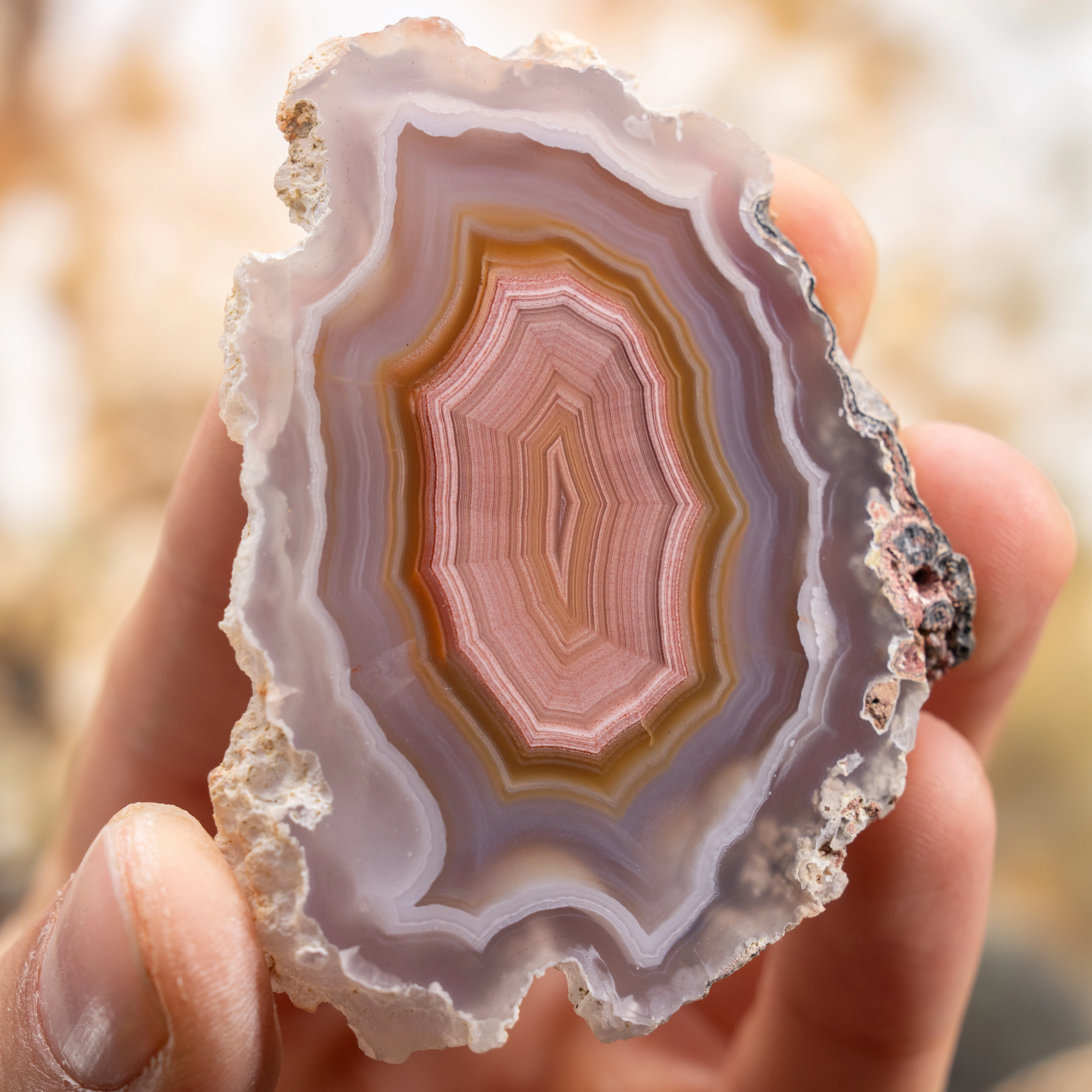 Rosette of Time - view 2