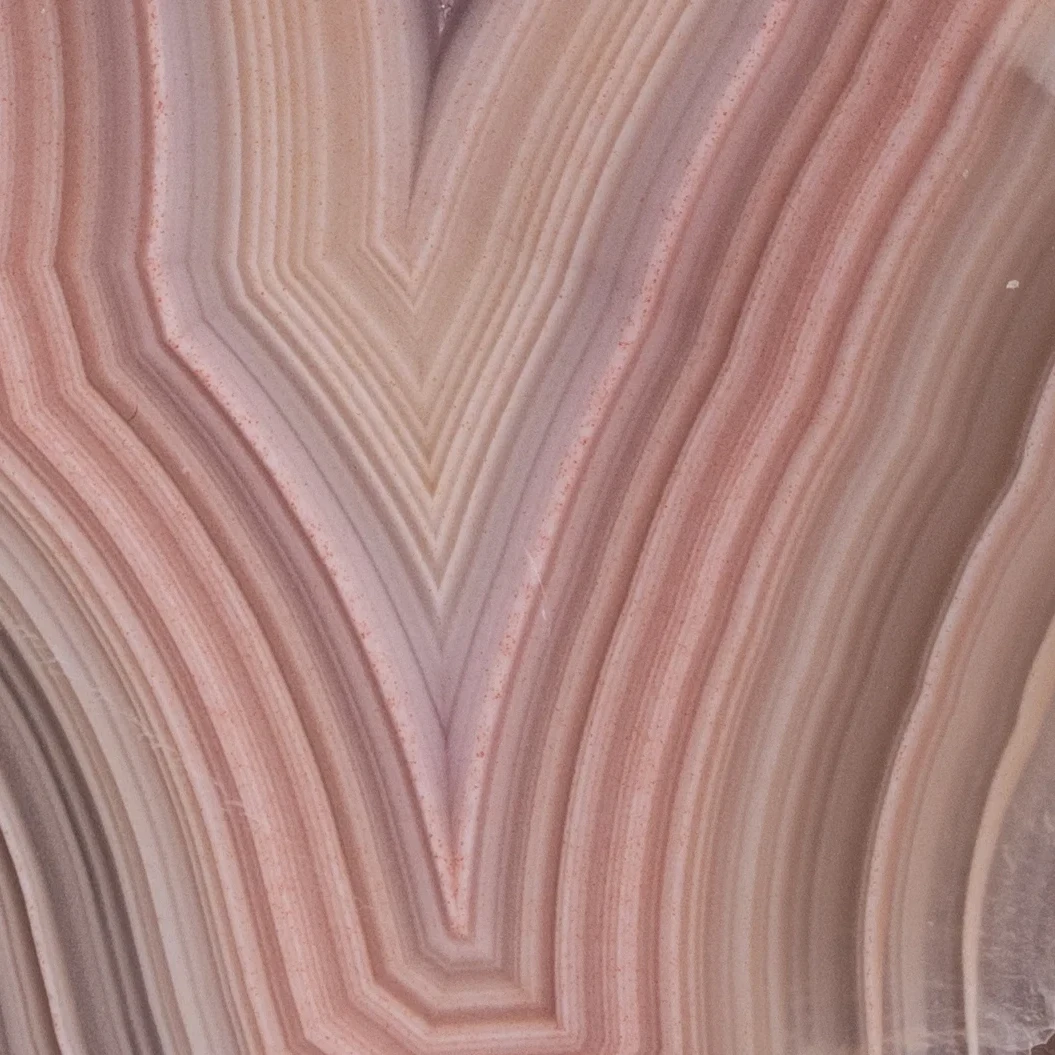 Blush Flame - view 4